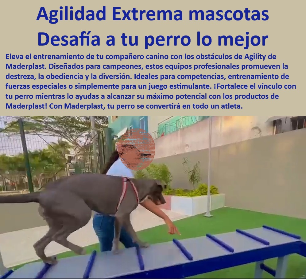 Parques caninos diseño fabricación y montaje parque completos para perros Maderplast  Soluciones de entrenamiento canino para residencias, , Áreas de agility para perros en comunidades cerradas, , ¿Dónde puedo encontrar un parque para perros con zona de agility cerca?, , Parques para perros diseñados para durabilidad extrema, , ¿Cómo puedo añadir un parque canino a mi comunidad residencial?, , Parques de mascotas para ejercicio y socialización, , Diseño de parques para perros con equipamiento completo, , Instalaciones caninas integradas en desarrollos residenciales, , ¿Cuáles son los beneficios de instalar un parque de perros en mi zona?, , Parques de perros con actividades de salud física, , Parques de perros Maderplast para bienestar animal, , ¿Qué parques para perros ofrecen actividades físicas saludables?, , Parques de perros con integración comunitaria, , Soluciones Maderplast para parques caninos, , Parques caninos completos para entrenamiento Maderplast, , Implementación de zonas caninas para ejercicio físico, , Equipos de agility robustos para perros urbanos, , Infraestructura de recreación canina para urbanizaciones, , Áreas de recreo canino para conjuntos residenciales, , Diseño de parques de perros para todas las razas, , Desarrollo de parques caninos con componentes seguros, , Implementación de parques caninos en áreas urbanas, , Instalaciones caninas seguras para entrenamiento, , Parques urbanos para perros con diseño innovador, , ¿Qué elementos debe tener un parque urbano para perros para ser considerado de alta calidad?, , Instalaciones de entrenamiento canino Maderplast de alta calidad, , Zonas para mascotas en conjuntos residenciales, , Parques de agility para desarrollo canino, , Parques caninos como valor agregado para propiedades, , Zonas de juego para perros en entornos urbanos parque urbano de perros actividad física saludable zona perros Integración parque mascotas conjunto residencial parque perros Valor agregado Pet Parques caninos diseño fabricación y montaje parque completos para perros Maderplast , parque urbano de perros actividad física saludable , zona perros Integración parque mascotas conjunto residencial, parque perros Valor agregado Pet