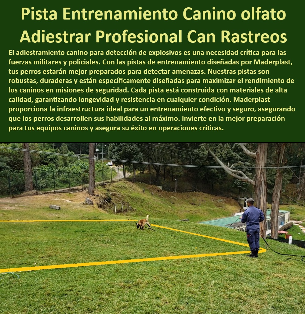 Pista de explosivos para caninos Pistas detección de bombas perros militares Maderplast   Equipos profesionales de adiestramiento para perros rastreadores, , Adiestramiento específico en detección de amenazas para caninos, , Equipos duraderos para adiestramiento de perros en misiones de seguridad, , Equipos robustos y seguros para adiestramiento canino, , Sistemas de entrenamiento con garantías de durabilidad, , Pistas que maximizan rendimiento en tareas de seguridad, , ¿Dónde puedo comprar pistas de adiestramiento para detección de explosivos?, , Completa infraestructura para entrenamiento de perros de servicio, , Pistas diseñadas para máxima durabilidad y eficacia, , Equipos para adiestramiento canino en detección rápida de amenazas, , ¿Cuáles son las mejores pistas para entrenamiento canino de seguridad?, , Entrenamiento especializado en detección de bombas para caninos, , Pista adiestramiento canino para detección de explosivos, , Pistas de alta calidad para adiestramiento de perros de rescate, , Pistas de entrenamiento canino de élite, , Sistema de capacitación para caninos en misiones de rescate, , ¿Son adecuadas las pistas para adiestramiento canino profesional?, , Pistas para adiestramiento canino en detección de sustancias peligrosas, , Equipos de entrenamiento olfativo para perros militares de alta resistencia, , ¿Qué pista es recomendada para entrenar perros en búsqueda y rescate?, , Adiestramiento profesional de caninos en operaciones de alto riesgo, , Pistas específicas para entrenamiento de perros militares, , Infraestructura para entrenamiento canino en operaciones críticas, , Pista de explosivos diseñada para resistencia extrema, , Pista para optimizar habilidades olfativas en caninos, , Capacitación avanzada en técnicas de búsqueda para perros, , ¿Cómo preparar a perros militares con equipos de entrenamiento especializados?, , Adiestramiento canino de alto rendimiento en detección, , Soluciones para entrenamiento canino de explosivos en fuerzas armadas, , Capacitación canina para fuerzas policiales y militares Pistas caninas personalizadas para cumplir con estándares internacionales de seguridad, , Pistas Maderplast para entrenamiento de perros en detección de olores, , Equipos de entrenamiento canino para perros policía y militares, , Pistas caninas Maderplast para detección de explosivos, , Pistas de seguridad de alto rendimiento para caninos, , Pistas caninas de alta calidad para entrenamiento intensivo, , ¿Qué características tienen las pistas caninas de Maderplast para detección de minas?, , Entrenamiento canino especializado en detección de sustancias peligrosas, , ¿Qué pistas caninas son las mejores para entrenamiento militar?, , Pistas de entrenamiento para perros diseñadas para uso profesional, , Sistemas de pistas caninas para entrenamiento eficiente, , Infraestructura de entrenamiento para caninos en operaciones de seguridad, , Maderplast pistas para perros con estabilidad y resistencia UV, , ¿Dónde puedo comprar pistas de entrenamiento para perros detectores de bombas?, , Pistas caninas para entrenamiento en detección avanzada, , Pistas de entrenamiento para perros que garantizan máxima seguridad, , Maderplast ofrece pistas para desarrollo de habilidades caninas, , Entrenamiento eficaz para perros militares en detección de bombas, , ¿Cuáles son las pistas más efectivas para perros de rescate?, , Pistas de campo eficaces para entrenamiento de caninos de seguridad, , Pistas caninas optimizadas para entrenadores profesionales, , Equipos de entrenamiento para detección de minas terrestres caninas, , ¿Cómo entrenar a mi perro con pistas caninas de Maderplast?, , Pistas duraderas para entrenamiento de perros de rescate, , Soluciones de entrenamiento canino para fuerzas especiales, , Pistas caninas ajustables para entrenamiento en diferentes terrenos, , Formación continua para perros en tareas de seguridad Maderplast, , Pistas caninas portátiles y fácilmente configurables Maderplast, , Pistas para entrenamiento de perros con acabados de alta calidad, , Pistas de entrenamiento canino para mejora de detección y agilidad 0 pista Adiestramiento específico para perros en detección de amenazas Capacitación avanzada para perros técnicas de búsqueda Adiestramiento 0 