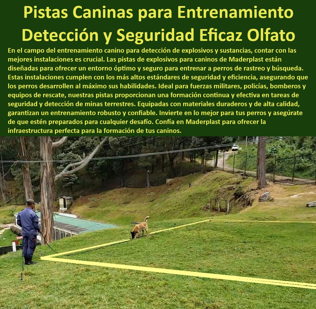 Pista de explosivos para caninos Pistas detección de bombas perros militares Maderplast  Equipos de eslalon para fuerzas especiales y entrenamiento táctico, , ¿Cómo seleccionar equipos de eslalon para entrenamiento de perros policía?, , Equipos de eslalon para perros resistentes a la intemperie, , ¿Cuál es el mejor sistema de eslalon para perros de competición?, , Equipos de eslalon para perros con diseño ergonómico, , Sistemas de eslalon para perros con instalación rápida, , Barras de eslalon para entrenamiento de perros en pequeños espacios, , ¿Cómo instalar un sistema de eslalon para entrenamiento canino en casa?, , Kit de slalom profesional para perros listo para competir, , Barras de slalom para entrenamiento canino en exteriores, , Barras de slalom diseñadas para el entrenamiento de perros guía, , Herramientas de entrenamiento canino para mejorar agilidad, , Equipos de eslalon para perros con protección contra UV, , Barras slalom de alta competencia para perros Maderplast, , Soluciones de eslalon canino para parques y espacios públicos, , Eslalon canino portátil y ajustable para diferentes razas, , Barras de eslalon removibles y fáciles de almacenar, , Soluciones de eslalon canino para entrenadores profesionales, , Sistemas de eslalon para perros personalizables Maderplast, , Equipos de eslalon para perros ideales para rescate y policía, , Barras de eslalon ajustables para entrenamiento canino intensivo, , Kit de eslalon para perros de competición con montaje fácil, , Barras de eslalon para perros con colores vivos y atractivos, , Soluciones de entrenamiento canino para competencias de agilidad, , Sistemas de entrenamiento canino de alta durabilidad, , Barras de eslalon de Maderplast para adiestramiento avanzado, , ¿Qué barras de eslalon son recomendadas para perros en rescate?, , Equipos de eslalon para entrenamiento canino de alto rendimiento, , ¿Dónde puedo comprar barras de eslalon para entrenamiento canino?, , Kit de slalom canino con garantía de durabilidad extendida Formación continua para caninos en tareas de seguridad pistas efectivas perros en detección de minas terrestres pistas de campo para perros Pista de explosivos para caninos Pistas detección de bombas perros militares Maderplast , Formación continua para caninos en tareas de seguridad , pistas efectivas perros en detección de minas terrestres , pistas de campo para perros