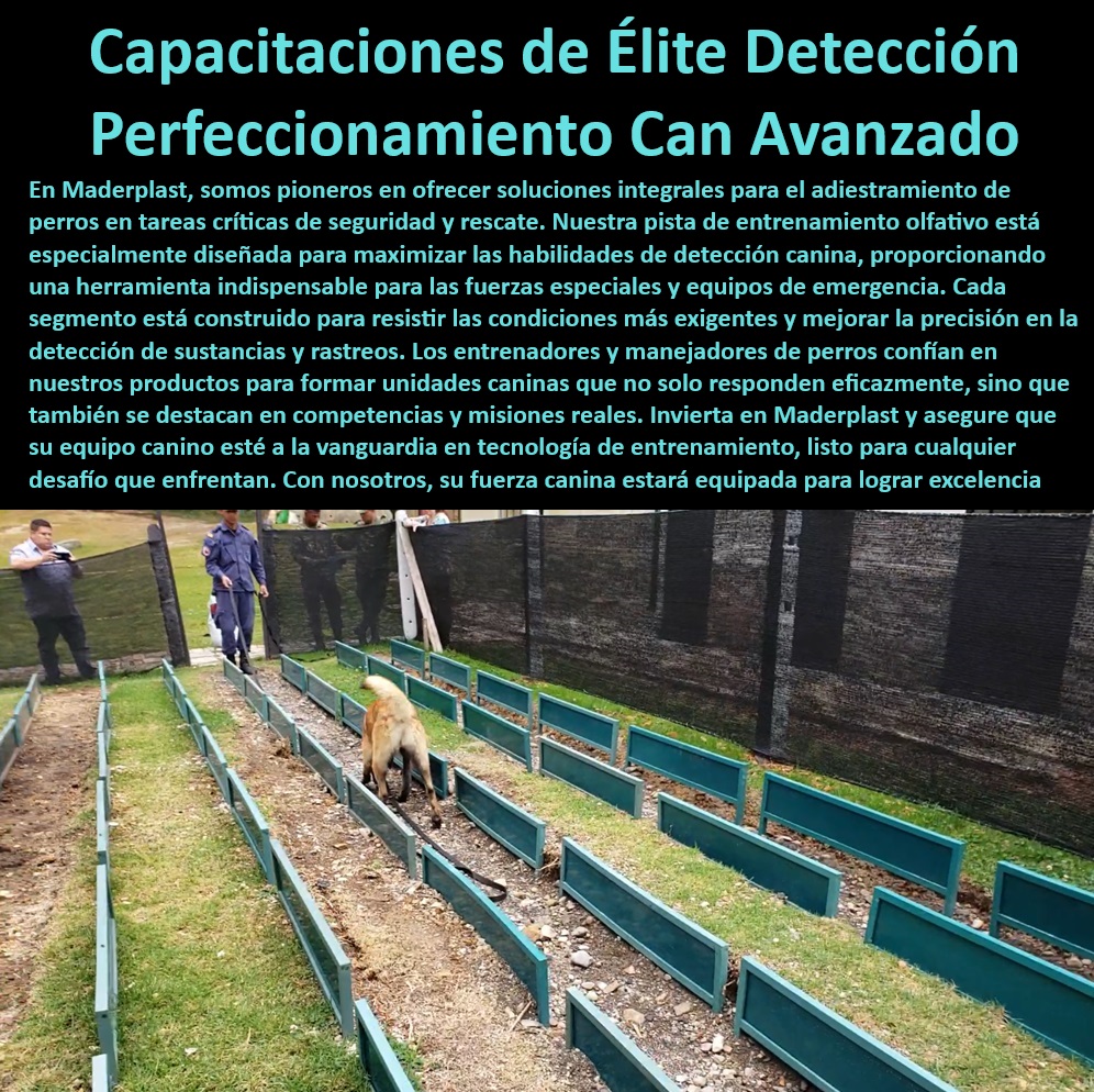 Pista entrenamiento olfativo Pista olfativa canina pistas perros militares Maderplast  Pistas caninas de alto rendimiento para detección de explosivos, , Pistas caninas especializadas para misiones de alta presión, , ¿Cómo capacitar a perros con equipos de detección olfativa avanzada?, , Pista de habilidades caninas para detección y seguridad, , Adiestramiento avanzado para perros en detección de amenazas críticas, , Pistas de entrenamiento canino que superan expectativas operacionales, , Pista profesional para perros en habilidades de búsqueda y rescate, , Pistas de habilidades olfativas caninas para entrenamiento intensivo, , ¿Cuáles son las mejores pistas de entrenamiento para perros en seguridad?, , Infraestructura de entrenamiento canino para misiones tácticas, , Equipos profesionales de entrenamiento olfativo para caninos, , ¿Pistas de adiestramiento canino recomendadas para operaciones tácticas?, , Capacitación de élite para perros en tareas críticas de seguridad, , Tecnología de vanguardia en entrenamiento canino para seguridad, , ¿Dónde puedo encontrar pistas de entrenamiento canino para detección olfativa?, , Equipos de adiestramiento canino para responder a amenazas, , Formación de perros para competencias y misiones reales, , Adiestramiento especializado en olfato para perros de servicio, , Innovación en pistas de entrenamiento canino para excelencia operativa, , Capacitación avanzada en detección olfativa para perros de fuerzas especiales, , Equipos de adiestramiento canino para operaciones de seguridad, , Soluciones de entrenamiento para perros militares en detección avanzada, , Pistas de adiestramiento para caninos en operaciones especiales, , Pistas de entrenamiento canino con garantía de durabilidad, , Pistas caninas diseñadas para condiciones extremas y precisión en la detección, , Adiestramiento canino eficaz para fuerzas especiales y equipos de emergencia, , Sistemas de adiestramiento para formar unidades caninas de respuesta eficaz, , Pista de entrenamiento olfativo para caninos en misiones críticas, , Pistas de entrenamiento diseñadas para maximizar habilidades caninas, , ¿Qué pista es mejor para entrenar perros de rescate y fuerzas especiales? Pista de habilidades para perros de fuerzas especiales Pista de habilidades olfativas caninas Pista olfativa canina profesional Equipos Perros Pista entrenamiento olfativo Pista olfativa canina pistas perros militares Maderplast, Pista de habilidades para perros de fuerzas especiales , Pista de habilidades olfativas caninas , Pista olfativa canina profesional Equipos Perros