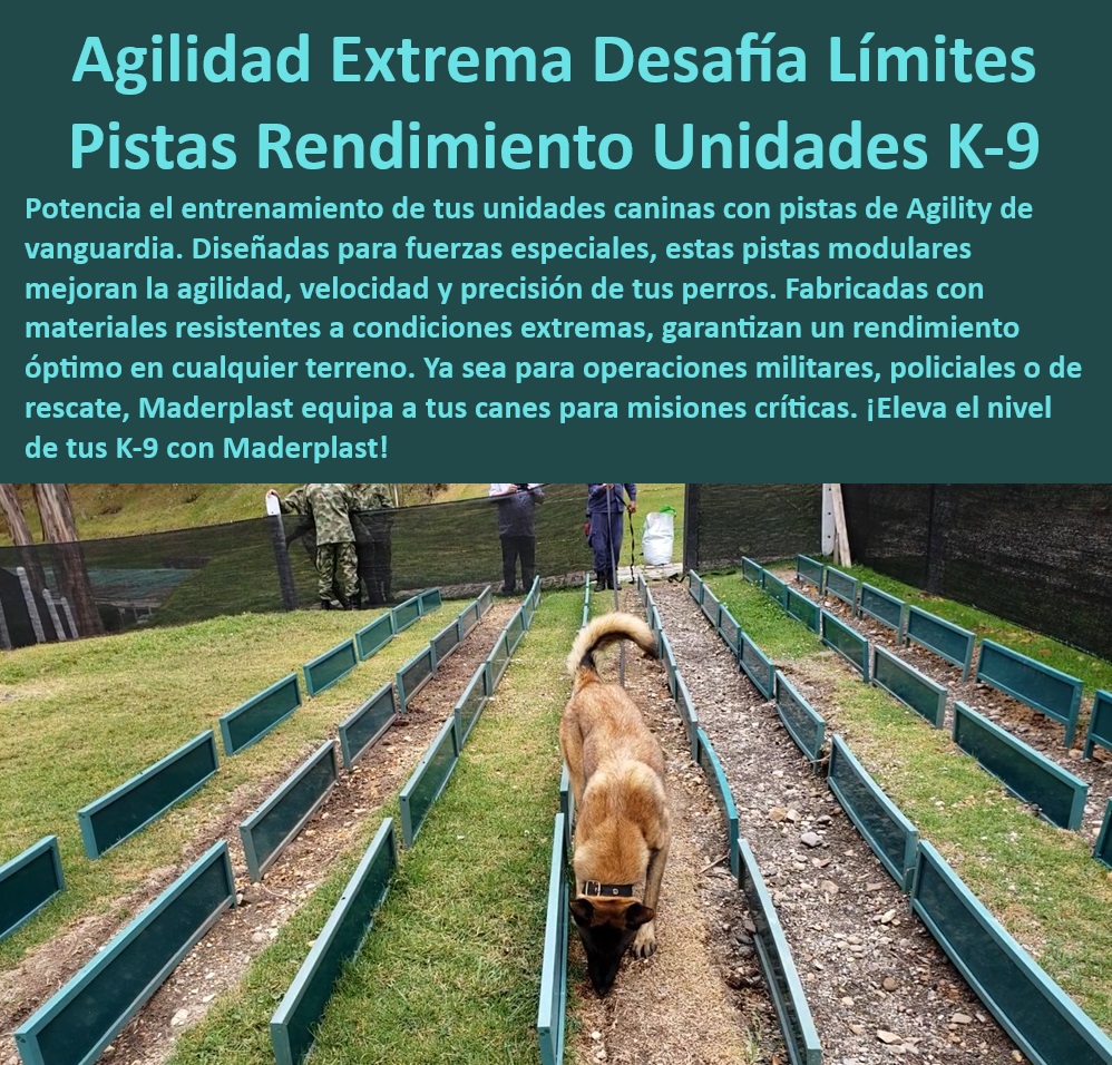 Pista entrenamiento olfativo Pista olfativa canina pistas perros militares Maderplast  Equipamiento especializado para entrenamiento de perros policiales, , ¿Qué soluciones ofrece Maderplast para el entrenamiento canino en condiciones extremas?, , Equipos de entrenamiento K-9 para agilidad extrema, , Pistas de entrenamiento canino para misiones críticas, , Equipos de entrenamiento canino para mejorar agilidad y velocidad, , Equipos de entrenamiento canino para agilidad en cualquier terreno, , Sistemas de agilidad canina para detección y rescate, , Equipos K-9 diseñados para máxima durabilidad y precisión, , Soluciones de entrenamiento canino para operaciones tácticas, , ¿Dónde puedo comprar pistas de entrenamiento canino para fuerzas especiales?, , Pistas caninas para entrenamiento intensivo y efectivo, , Sistemas modulares de entrenamiento canino para adaptabilidad, , Tecnología de entrenamiento canino para fuerzas especiales, , ¿Cuáles son los mejores sistemas de entrenamiento canino para agilidad extrema?, , ¿Qué equipo de entrenamiento canino es recomendado para operaciones de rescate?, , Equipos de agilidad para entrenamiento canino de alto rendimiento, , ¿Cómo pueden mejorar las pistas de entrenamiento la agilidad de los perros K-9?, , Pistas de entrenamiento canino de alta precisión, , Capacitación canina de élite para fuerzas de seguridad, , Soluciones avanzadas para entrenamiento canino militar, , Capacitación avanzada para unidades caninas en misiones críticas, , Equipos de entrenamiento canino para responder a emergencias, , Mejora del rendimiento canino con tecnología avanzada, , Infraestructura de entrenamiento canino para todas las condiciones, , Pistas de entrenamiento canino para desafiar límites de agilidad, , Pistas de rendimiento canino para condiciones extremas, , Pistas de entrenamiento canino diseñadas para excelencia operativa, , Innovación en pistas de entrenamiento canino modular, , Equipos de entrenamiento canino robustos y eficientes, , Pistas modulares K-9 para operaciones de seguridad Pista de rastreo para perros de seguridad pistas de rastreo para perros en zonas de conflicto Equipamiento de rastreo canino de alto rendimiento Pista entrenamiento olfativo Pista olfativa canina pistas perros militares Maderplast, Pista de rastreo para perros de seguridad , pistas de rastreo para perros en zonas de conflicto, Equipamiento de rastreo canino de alto rendimiento