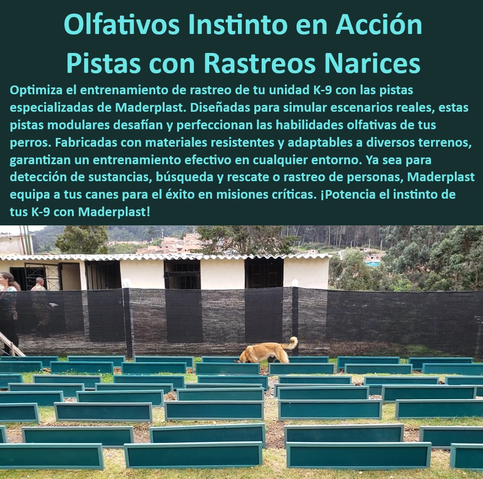 Pista entrenamiento olfativo Pista olfativa canina pistas perros militares Maderplast  ¿Cuál es el mejor equipo de rastreo para perros de seguridad?, , Equipos de rastreo para perros entrenados en narcóticos, , Sistemas de entrenamiento canino para operaciones militares, , Módulos de entrenamiento para habilidades caninas específicas, , Equipamiento canino para detección en condiciones extremas, , Pistas caninas modulares para diversos entornos operativos, , Pistas de rastreo canino para simulación de escenarios reales, , Entrenamiento especializado para perros de rescate y seguridad, , Soluciones de rastreo para perros en operaciones críticas, , Pistas de alto rendimiento para rastreo canino, , Tecnología olfativa canina para detección de amenazas, , Equipos de rastreo de sustancias con tecnología de punta, , Pistas caninas para entrenamiento de alto rendimiento, , Pistas avanzadas para entrenamiento canino en detección, , Equipos de entrenamiento olfativo para fuerzas de seguridad, , Equipos modulares de rastreo olfativo para K-9, , Pistas caninas para maximizar habilidades olfativas, , Pistas duraderas para entrenamiento canino en terrenos difíciles, , Equipos de rastreo canino para detección y seguridad, , Infraestructura de entrenamiento canino para misiones de búsqueda, , Implementos de entrenamiento para perros en misiones antidrogas, , Mejora del instinto olfativo canino con pistas profesionales, , ¿Cuáles son las opciones de entrenamiento olfativo para perros militares?, , Sistemas de entrenamiento olfativo para perros policiales, , ¿Dónde puedo encontrar pistas de entrenamiento canino para detección de drogas?, , ¿Cómo mejorar las habilidades olfativas de los perros de rescate?, , Infraestructura de entrenamiento canino para operaciones de riesgo, , ¿Qué sistemas de rastreo son recomendados para perros en áreas de riesgo?, , Capacitación avanzada en rastreo olfativo para unidades K-9, , Pistas olfativas diseñadas para resistencia y adaptabilidad Pista de trabajo para perros en áreas de riesgo Pista de rastreo antidrogas perros Pista olfativa de perros antidrogas pista Entrenamiento 00 Pista entrenamiento olfativo Pista olfativa canina pistas perros militares Maderplast, Pista de trabajo para perros en áreas de riesgo , Pista de rastreo antidrogas perros , Pista olfativa de perros antidrogas , pista Entrenamiento 00