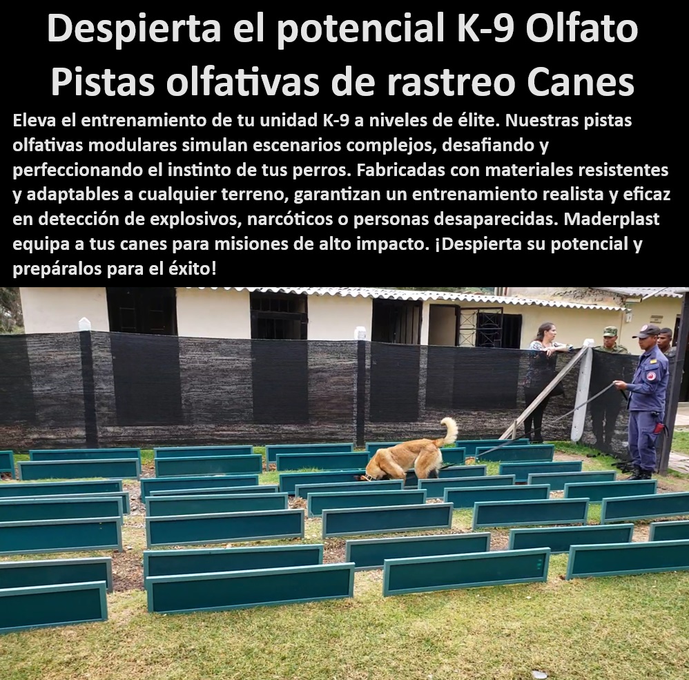 Pista entrenamiento olfativo Pista olfativa canina pistas perros militares Maderplast  Entrenamiento especializado para perros de búsqueda y rescate, , Capacitación canina en pistas olfativas especializadas, , ¿Qué equipamiento necesito para un perro de rastreo en áreas de alto riesgo?, , Soluciones efectivas para la formación de perros en misiones críticas, , Pistas de entrenamiento canino para fuerzas especiales, , Pistas de alta durabilidad para entrenamiento canino, , Equipos avanzados para rastreo de sustancias con perros, , Módulos de entrenamiento para perros de fuerzas de seguridad, , Pistas de rastreo antidrogas para perros, , Pistas modulares para entrenamiento canino de alto rendimiento, , ¿Dónde puedo encontrar pistas de entrenamiento para perros de seguridad?, , Equipamiento para perros de intervención rápida, , Sistemas de rastreo canino para detección efectiva, , Equipos olfativos para la detección de narcóticos en perros, , Equipos de entrenamiento olfativo para perros K-9, , Pistas caninas para mejorar la precisión en la detección, , Entrenamiento especializado para perros en detección de personas desaparecidas, , Mejora del instinto olfativo en perros de seguridad, , Soluciones de entrenamiento para perros en detección de explosivos, , ¿Qué pistas olfativas son mejores para perros en misiones críticas?, , Equipos de entrenamiento para perros antidrogas, , Infraestructura de entrenamiento canino contra narcóticos, , ¿Cómo entrenar a un perro para la detección de explosivos?, , ¿Cuál es el mejor equipo de entrenamiento para perros K-9?, , Pistas caninas para entrenamiento en diferentes terrenos, , Sistemas de entrenamiento para perros en áreas de riesgo, , Pistas de rastreo para perros en operaciones de seguridad, , Equipos de entrenamiento canino para operaciones de alto impacto, , Pistas caninas adaptadas a condiciones extremas, , Pistas de rastreo para perros de operaciones militares pistas Equipos de rastreo para perros de intervención rápida pistas Equipamiento de entrenamiento de perros de seguridad pistas entrenamiento 0 Pista entrenamiento olfativo Pista olfativa canina pistas perros militares Maderplast, pistas Equipos de rastreo para perros de intervención rápida , pistas Equipamiento de entrenamiento de perros de seguridad , pistas entrenamiento 0