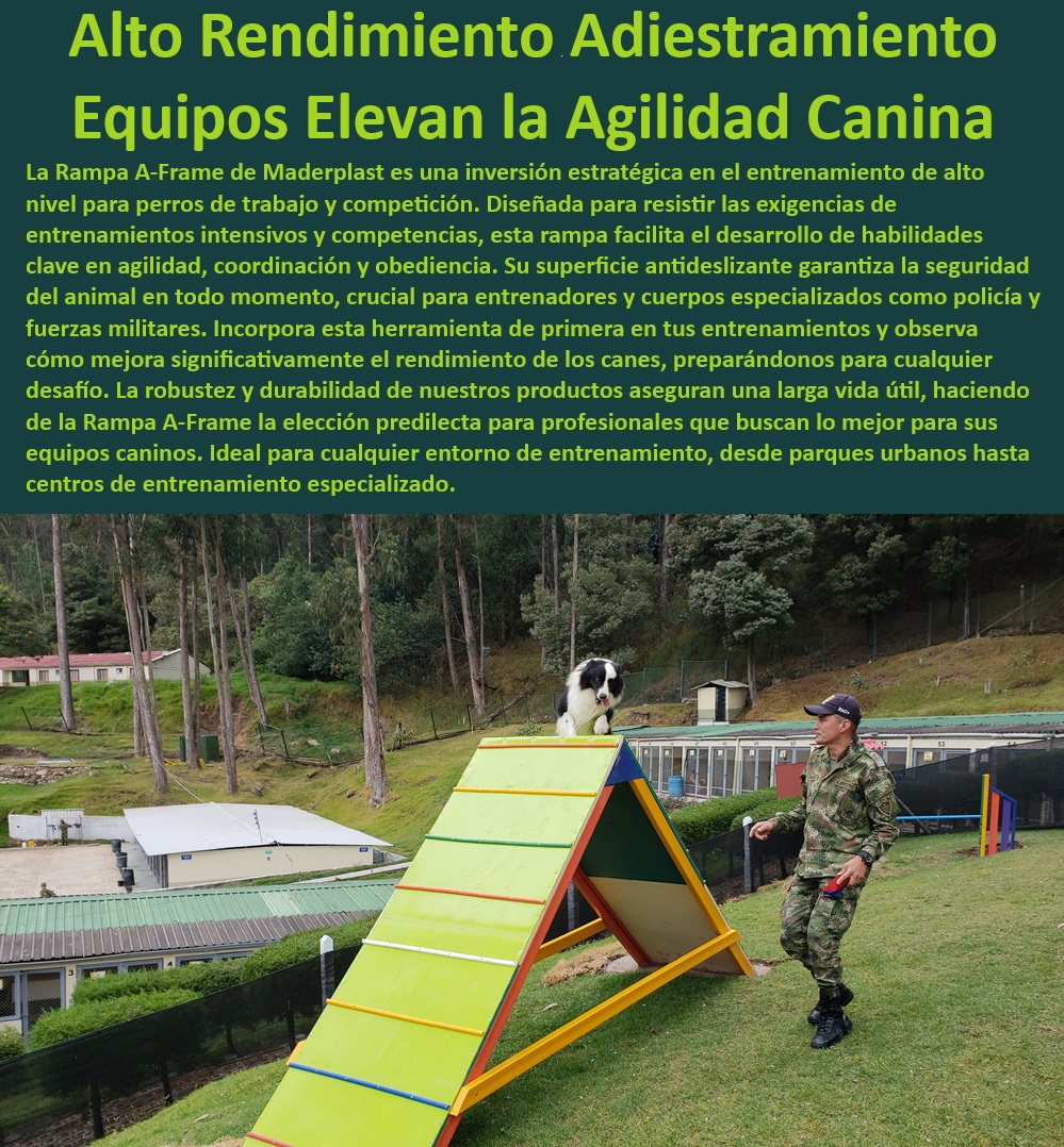 Rampa A 0 A Frame 0 equipo de agility para perros rampas tipo A Frame Maderplast  Rampa A-Frame para entrenamiento canino de alto rendimiento, , Soluciones de entrenamiento Maderplast para perros de trabajo, , Rampa A-Frame duradera para entrenamiento canino intensivo, , Rampas de agilidad reguladas para competencias caninas, , ¿Qué rampa de agilidad es mejor para entrenar perros de competencia?, , ¿Dónde encontrar equipos de agilidad canina para parques urbanos?, , Equipamiento canino de alto rendimiento para parques urbanos, , Mobiliario funcional para parques de perros y entrenamiento, , ¿Cuál es la mejor rampa de entrenamiento para perros de seguridad?, , Equipos de entrenamiento canino para fuerzas de seguridad, , Equipos de agilidad canina para competiciones profesionales, , Equipos de entrenamiento canino para mejora de coordinación, , Mobiliario estético y funcional para entrenamiento canino, , Equipos de entrenamiento canino para mejoramiento de obediencia, , Rampa A-Frame adaptable a diversos entornos de entrenamiento, , Implementos de entrenamiento para desarrollo de habilidades caninas, , Implementos de agilidad canina para entrenamiento policial, , Equipos de agilidad canina para entrenamiento en todo terreno, , Soluciones de entrenamiento canino para detección y rescate, , Rampas de agilidad canina para entrenadores profesionales, , Soluciones de entrenamiento para perros en cuerpos especializados, , Rampas para entrenamiento de agilidad canina en competencias, , Rampas A-Frame de Maderplast para seguridad canina, , Equipos Maderplast para entrenamiento canino en áreas urbanas, , Rampa A-Frame segura y antideslizante para perros, , ¿Cómo puedo mejorar la agilidad de mi perro con equipos profesionales?, , Rampas de agilidad canina para entrenamiento de seguridad, , ¿Qué equipamiento necesita los entrenadores caninos para competiciones?, , Implementos de entrenamiento Maderplast para perros deportivos, , Rampa A-Frame para desarrollo de habilidades caninas avanzadas Proveedores de equipamiento reglamentario para competencias de agility Mobiliario funcional y estético para parques de perros Implementos perro Rampa A 0 A-Frame 0 equipo de agility para perros rampas tipo A Frame Maderplast , , Proveedores de equipamiento reglamentario para competencias de agility , , Mobiliario funcional y estético para parques de perros , Implementos perro