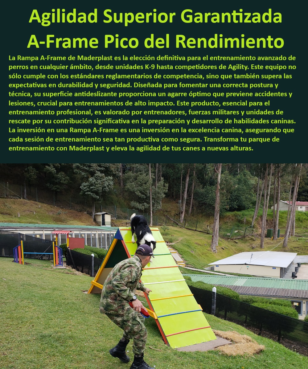 Rampa A 0 A Frame 0 equipo de agility para perros rampas tipo A Frame Maderplast  ¿Qué equipo de Maderplast es ideal para el entrenamiento de habilidades caninas?, , Equipos de agilidad para perros con diseño ergonómico, , Rampa de agilidad para perros con garantía de durabilidad, , Rampa de agilidad diseñada para entrenadores caninos, , Equipos de agilidad Maderplast para competidores K-9, , Soluciones de entrenamiento canino para mejorar la coordinación, , ¿Dónde puedo encontrar rampas de agilidad seguras para perros?, , Rampa de entrenamiento canino para prevención de accidentes, , ¿Cuáles son los mejores equipos de entrenamiento para perros policía?, , Equipos de entrenamiento canino para parques y centros especializados, , Rampa de agilidad para perros con superficie antideslizante, , Rampa A-Frame resistente para entrenamiento canino avanzado, , Rampa A-Frame Maderplast para entrenamiento de obediencia, , Equipos de entrenamiento para perros en ambientes controlados, , Equipos de entrenamiento canino para unidades K-9, , Rampa A-Frame para desarrollo de habilidades caninas, , Rampas de agility canina seguras y reguladas, , Rampas de entrenamiento canino para seguridad y rescate, , Equipos profesionales de agility para perros de competencia, , ¿Qué rampa de agilidad es recomendada para entrenamiento canino intensivo?, , ¿Cómo asegurar un entrenamiento efectivo con rampas para perros?, , Equipos de entrenamiento para perros en operaciones críticas, , Equipos de entrenamiento canino para fuerzas militares, , Rampa de agilidad para caninos en entrenamiento intensivo, , Equipos de Maderplast para entrenamiento canino profesional, , Soluciones Maderplast para entrenamiento canino eficaz, , Rampa de entrenamiento A-Frame para agility canino, , Rampa A-Frame adaptada a diversos entornos de entrenamiento, , Rampa A-Frame ideal para entrenamientos de alto rendimiento, , Implementos de entrenamiento canino de alto impacto Rampas de agility para entrenamiento de perros certificadas Soluciones integrales para parques de entretenimiento canino Adquisición equipos Rampa A 0 A-Frame 0 equipo de agility para perros rampas tipo A Frame Maderplast , , Rampas de agility para entrenamiento de perros certificadas , , Soluciones integrales para parques de entretenimiento canino , , Adquisición equipos