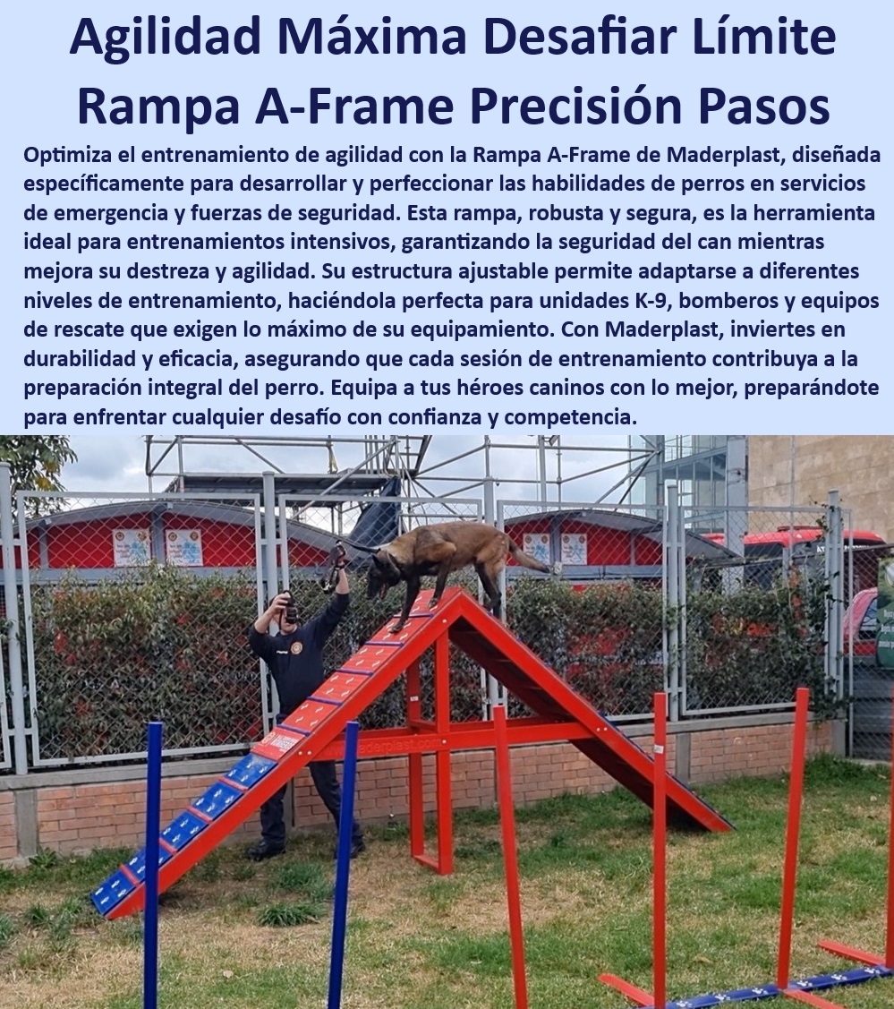 Rampa A Agility A Frame Equipo Agility de Perros búsqueda y rescate Maderplast  Equipos de entrenamiento para perros de búsqueda, , Rampa canina para fuerzas de seguridad, , Rampa de agilidad con ajuste de altura, , ¿Cuál es la mejor rampa para entrenamiento de perros de rescate?, , Rampa Maderplast para entrenamiento canino efectivo, , Rampa A Frame para entrenamiento canino, , Rampa para perros en servicios de emergencia, , Rampa A Frame ajustable para perros, , Rampa A Frame para mejorar destreza canina, , Rampa de acceso para entrenamiento de agilidad, , Equipos de agilidad canina para entrenamiento intensivo, , Rampa de agilidad profesional para perros, , Rampa para habilidades de agilidad canina, , ¿Qué características tiene la rampa de entrenamiento Maderplast para perros de emergencia?, , Rampa de entrenamiento canino para bomberos, , Rampa para entrenamiento táctico de caninos, , Equipos de agilidad Maderplast para perros, , Equipos Maderplast para entrenamiento canino, , ¿Qué rampa de agilidad recomiendan para perros policía?, , ¿Cómo usar la rampa A Frame de Maderplast para entrenar perros?, , Rampa canina segura para entrenamiento, , Equipos robustos de entrenamiento para perros, , Equipos de entrenamiento K 9 Maderplast, , Equipos de entrenamiento para perros de alto rendimiento, , Rampa de agilidad para perros policía, , Rampa A Frame de alta resistencia para perros, , Equipos de agilidad ajustables para caninos, , ¿Dónde puedo comprar una rampa A Frame ajustable para perros?, , Rampa de seguridad canina ajustable, , Rampa de entrenamiento para perros de rescate Rampa canina diseñada para mejorar habilidades de agilidad Entrenamiento canino efectivo con rampa de acceso seguras Rampa agility regulable entrenar Rampa A Agility A-Frame Equipo Agility de Perros búsqueda y rescate Maderplast , Rampa canina diseñada para mejorar habilidades de agilidad , Entrenamiento canino efectivo con rampa de acceso seguras , Rampa agility regulable entrenar