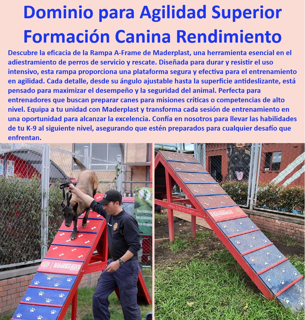 Rampa A Agility A Frame Equipo Agility de Perros búsqueda y rescate Maderplast  Equipos de entrenamiento canino ajustables, , Entrenamiento de agilidad para caninos, , Equipos Maderplast para perros de búsqueda, , ¿Cómo puedo mejorar la agilidad de mi perro con la Rampa A Frame?, , Rampa de entrenamiento para unidades de rescate, , Rampa de entrenamiento con ajuste de altura, , Equipos de agilidad para perros policía, , Rampa de entrenamiento K 9 profesional, , Rampa de entrenamiento seguro para caninos, , Rampa ajustable para entrenamiento canino, , Equipos de agilidad A Frame para perros, , Rampa de seguridad para entrenamiento intensivo, , Rampa A Frame de alto rendimiento, , Rampa de agilidad para formación canina superior, , Rampa para mejorar agilidad en perros, , Rampa resistente para entrenamiento canino, , ¿Qué rampa de entrenamiento recomiendan para perros de policía?, , Rampa canina para competencias de agilidad, , Rampa canina para entrenamiento táctico, , ¿Dónde puedo encontrar rampas de agilidad para perros de rescate?, , Equipos de desafío límite para perros, , ¿Qué características tiene la Rampa A Frame de Maderplast para entrenamiento seguro?, , Rampa de agilidad con pasos de precisión, , Rampa A Frame Maderplast para perros, , Equipos de entrenamiento canino para bomberos, , ¿Cuál es la mejor rampa A Frame para entrenamiento canino avanzado?, , Rampa A Frame Maderplast para entrenamiento eficaz, , Rampa robusta para perros de servicio, , Equipos de entrenamiento para perros grandes, , Rampa de precisión para perros de rescate Rampas de entrenamiento para perros grandes y activos Rampa canina resistente para uso prolongado y seguro Puentes regulables y seguros entrenamiento Rampa A Agility A-Frame Equipo Agility de Perros búsqueda y rescate Maderplast , Rampas de entrenamiento para perros grandes y activos , Rampa canina resistente para uso prolongado y seguro , Puentes regulables y seguros entrenamiento