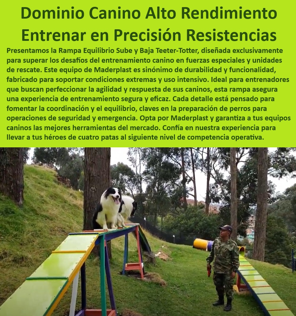 Rampa Equilibrio Sube Y Baja Para Perros Teeter Totter O Sube Y Baja Maderplast  Rampa de precisión para perros en entrenamiento táctico, , Rampa de entrenamiento canino para mejorar la respuesta operativa, , Rampa de equilibrio sube y baja para entrenamiento canino, , Equipamiento canino para detección y rescate de alto rendimiento, , Equipos tácticos de entrenamiento canino para operaciones de seguridad, , Rampa para perros fabricada para uso intensivo y seguro, , ¿Qué equipos de agilidad recomienda Maderplast para perros policía?, , Rampa de agilidad para unidades K-9 y fuerzas especiales, , Rampa de equilibrio sube y baja certificada para competición, , Equipamiento de entrenamiento para perros en ambientes extremos, , Rampa de equilibrio para perros resistente a condiciones adversas, , Rampa para perros ideal para entrenadores profesionales, , Rampa de equilibrio para perros con superficie segura y efectiva, , Rampa de entrenamiento canino para competencias de agility, , Equipos de entrenamiento de agilidad canina con garantía de durabilidad, , Rampa de equilibrio para perros con diseño antideslizante, , Equipos de entrenamiento canino para habilidades de agilidad, , ¿Dónde puedo encontrar rampas duraderas para entrenamiento canino táctico?, , ¿Cómo puedo mejorar la coordinación y agilidad de mi perro con equipos de Maderplast?, , Rampa de agilidad portátil para entrenamientos en parques, , Rampa teeter-totter duradera para perros de rescate, , Soluciones de entrenamiento para caninos en unidades de búsqueda y rescate, , Rampa táctica para entrenamiento de habilidades caninas en operaciones de emergencia, , Equipos Maderplast para entrenamiento de precisión en perros, , Soluciones Maderplast para entrenamiento canino avanzado, , ¿Qué soluciones ofrece Maderplast para entrenamiento canino en condiciones extremas?, , ¿Cuál es la mejor rampa de equilibrio para entrenar perros de rescate?, , Equipos de entrenamiento canino personalizados para fuerzas armadas, , Rampa sube y baja para mejorar coordinación canina, , Rampa teeter-totter Maderplast para equilibrio y respuesta rápida militar Obstáculos para entrenamiento de precisión Perros Equipo agilidad canina táctico Perros Equipamiento profesional perros rescate Obstáculo Rampa Equilibrio Sube Y Baja Para Perros Teeter-Totter O Sube Y Baja Maderplast , militar  Obstáculos para entrenamiento de precisión Perros , Equipo agilidad canina táctico Perros , Equipamiento profesional perros rescate , Obstáculo