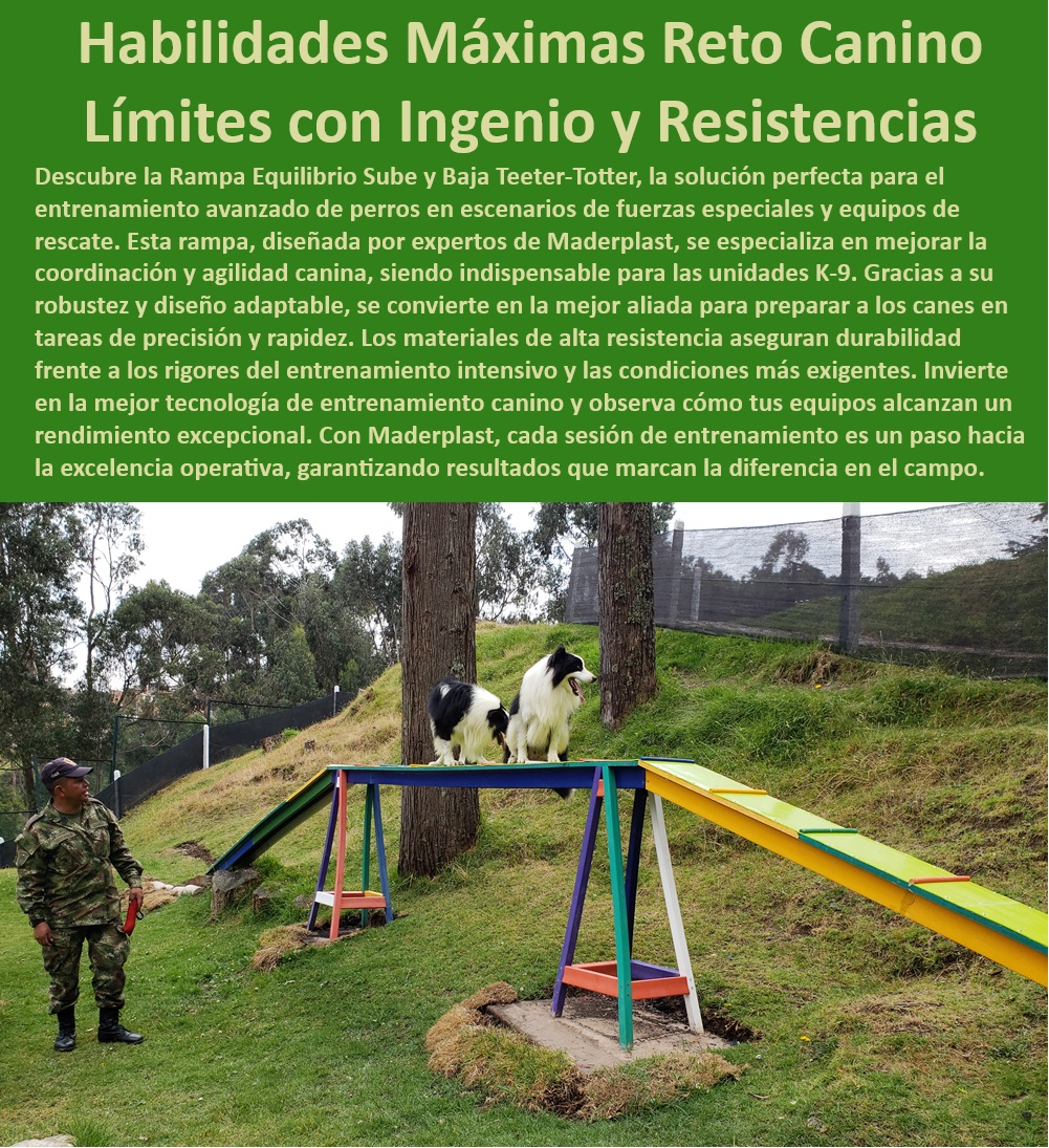 Rampa Equilibrio Sube Y Baja Para Perros Teeter Totter O Sube Y Baja Maderplast  Rampa de habilidades máximas para perros en entrenamiento operativo, , Equipos profesionales para entrenamiento de perros en seguridad, , Rampa canina especializada para entrenamiento de alto rendimiento, , Rampa de entrenamiento especializado para unidades caninas militares, , Rampa robusta para entrenamiento de habilidades caninas en seguridad, , Mejores rampas de equilibrio para entrenamiento canino competitivo, , Equipos de entrenamiento canino con garantía de durabilidad y eficacia, , Rampa de agilidad para entrenamiento canino de precisión Maderplast, , Innovaciones en entrenamiento canino para respuesta y precisión máxima, , Pasarelas de entrenamiento para perros en escenarios operativos reales, , Equipos tácticos caninos para entrenamiento de precisión y respuesta rápida, , ¿Qué rampa de entrenamiento es mejor para el equilibrio canino?, , Rampa Teeter-Totter ideal para entrenadores de perros y academias caninas, , Soluciones de entrenamiento Maderplast para perros de rescate, , Pasarela Maderplast para desarrollo de agilidad en perros profesionales, , ¿Dónde puedo encontrar rampas duraderas para entrenamiento de perros?, , Pasarela de equilibrio canino para entrenamiento táctico militar, , Soluciones de entrenamiento canino para mejora de agilidad y coordinación, , ¿Cuál es la mejor pasarela para entrenar perros en tácticas militares?, , Rampa Teeter-Totter ajustable para adiestramiento canino avanzado, , ¿Qué equipos usa Maderplast para entrenar perros en fuerzas especiales?, , Equipos de entrenamiento K-9 de alta resistencia para fuerzas especiales, , Rampa sube y baja de alta durabilidad para caninos de trabajo, , Pasarela canina de fácil montaje para entrenamiento en habilidad, , Rampa de entrenamiento canino para perros de todas las razas, , ¿Cómo puedo mejorar la coordinación y agilidad de mi perro con equipos profesionales?, , Equipos Maderplast para entrenamiento canino en condiciones extremas, , Rampa para perros diseñada para resistir uso intensivo y continuo, , Rampa de equilibrio canino para entrenamiento intensivo y seguro, , Equipamiento canino para mejorar la coordinación y respuesta rápida militar Pasarelas especializadas entrenamiento canino Pasarela agilidad perros fácil montaje Pasarela entrenamiento canino militar Obstáculos Pet Rampa Equilibrio Sube Y Baja Para Perros Teeter-Totter O Sube Y Baja Maderplast , militar  Pasarelas especializadas entrenamiento canino , Pasarela agilidad perros fácil montaje , Pasarela entrenamiento canino militar , Obstáculos Pet