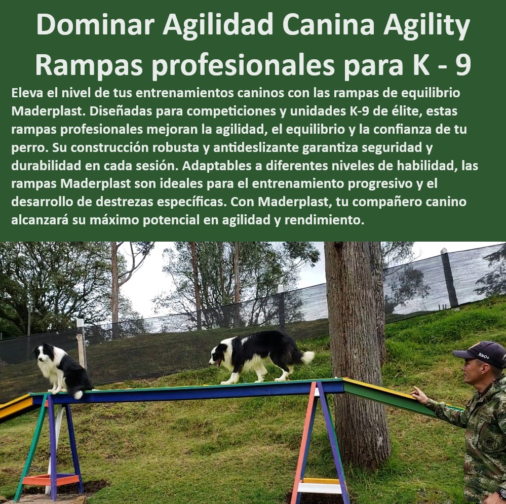 Rampa Equilibrio Sube Y Baja Para Perros Teeter Totter O Sube Y Baja Maderplast  Equipos para entrenamiento canino adaptados a diversas habilidades, , Mejores rampas de agilidad para entrenamiento de perros militares, , Rampas ajustables de agilidad para competencias caninas profesionales, , Equipos de entrenamiento canino especializados en agilidad y coordinación, , Equipos de entrenamiento canino para unidades K-9 de élite, , Soluciones Maderplast para entrenamiento canino competitivo, , Equipos de entrenamiento canino de alto rendimiento Maderplast, , Equipamiento canino profesional para entrenamiento de agilidad y coordinación, , Equipos de entrenamiento de alta resistencia para perros policiales, , Rampas de agilidad canina diseñadas para uso intensivo, , Soluciones avanzadas para el entrenamiento de perros en agilidad Maderplast, , ¿Cómo mejorar la agilidad y coordinación de mi perro con equipos Maderplast?, , Rampa canina Maderplast para maximizar el rendimiento en competencias, , Innovación en equipos de entrenamiento canino para fuerzas especiales, , Soluciones de agilidad para entrenamiento de perros de servicio, , Rampa de equilibrio canina para entrenamiento avanzado de perros, , Rampa profesional canina con superficie antideslizante para seguridad, , Equipos de agilidad canina para perros de rescate y emergencia, , ¿Qué equipo de agilidad recomiendan para perros de fuerzas especiales?, , ¿Dónde puedo encontrar rampas de entrenamiento canino profesional?, , Rampas de agilidad duraderas y seguras para perros de trabajo, , Rampa de agilidad para perros, ideal para entrenamiento en exteriores, , ¿Cuál es la mejor rampa de agilidad para entrenamiento K-9?, , Rampa K-9 de alto rendimiento para desarrollo de habilidades caninas, , Rampa canina profesional para mejorar coordinación y rendimiento, , Rampa de agilidad ajustable para todos los niveles de entrenamiento canino, , Equipamiento táctico canino para entrenamiento de precisión Maderplast, , ¿Qué rampa de agilidad es más segura y duradera para perros de servicio?, , Rampa de entrenamiento para perros con materiales de alta resistencia, , Rampa de agilidad canina para unidades K-9 profesionales Maderplast militares Pasarelas profesionales para campeonatos Perros Rampas de rendimiento para competencia Perros Equipamiento agilidad perro bomberos K 9 Rampa Equilibrio Sube Y Baja Para Perros Teeter-Totter O Sube Y Baja Maderplast , militares Pasarelas profesionales para campeonatos Perros , Rampas de rendimiento para competencia Perros , Equipamiento agilidad perro bomberos , K - 9