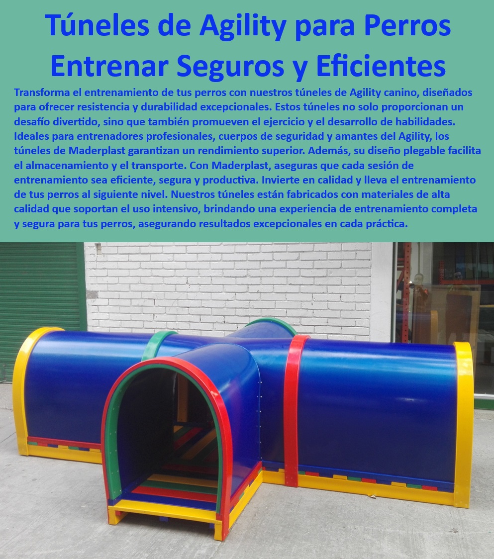 Túnel rígido canino Túnel colapsable Túnel ciego Túnel de agility plegable Maderplast  Túneles de agility profesionales para cuerpos de seguridad, , Túnel plegable de agility para maximizar espacio de almacenamiento, , Túnel canino Maderplast para agilidad y ejercicio, , Túneles plegables de agility para perros Maderplast, , ¿Cuál es el mejor túnel de agility plegable para perros grandes?, , Túnel canino para agilidad con garantía de durabilidad, , Soluciones de entrenamiento canino para parques y recintos, , Equipos de agility plegables para fácil transporte, , Túneles de agility para entrenamiento canino seguro y efectivo, , Túneles de agilidad para perros con superficies antideslizantes, , Equipos de entrenamiento canino ajustables para diferentes niveles, , Equipos de agility canina para entrenamiento de competencia, , Túneles de agility canina para entrenamientos diarios, , Túneles de entrenamiento para perros de servicio y rescate, , Túnel de entrenamiento canino con diseño adaptable, , Maderplast túneles de agility para resultados superiores en entrenamiento, , Túnel canino para ejercicio y desarrollo de destreza, , Túneles de entrenamiento canino para desarrollo de habilidades, , Soluciones de agilidad canina para profesionales y entrenadores, , Equipos de entrenamiento canino Maderplast de alto rendimiento, , Túneles de agility robustos y seguros para perros activos, , Túnel canino de fácil montaje y desmontaje, , ¿Cuáles son los túneles de agility más duraderos en el mercado?, , Túnel de entrenamiento canino para todas las razas, , Equipamiento de entrenamiento canino de alta durabilidad, , Túnel de agility resistente para entrenamiento intensivo de perros, , Accesorios de agility canina para entrenadores y competidores, , ¿Cómo seleccionar túneles de entrenamiento para perros profesionales?, , ¿Qué túnel de agility recomiendan para entrenadores caninos?, , ¿Dónde puedo comprar un túnel de agility para entrenamiento de perros? catálogo Túnel canino plegable Ahorro de espacio Túnel competencia agility Cumple con estándares Túnel largo para agility Ideal entrenamientos Túnel rígido canino Túnel colapsable Túnel ciego Túnel de agility plegable Maderplast , catálogo Túnel canino plegable Ahorro de espacio , Túnel competencia agility Cumple con estándares , Túnel largo para agility Ideal entrenamientos