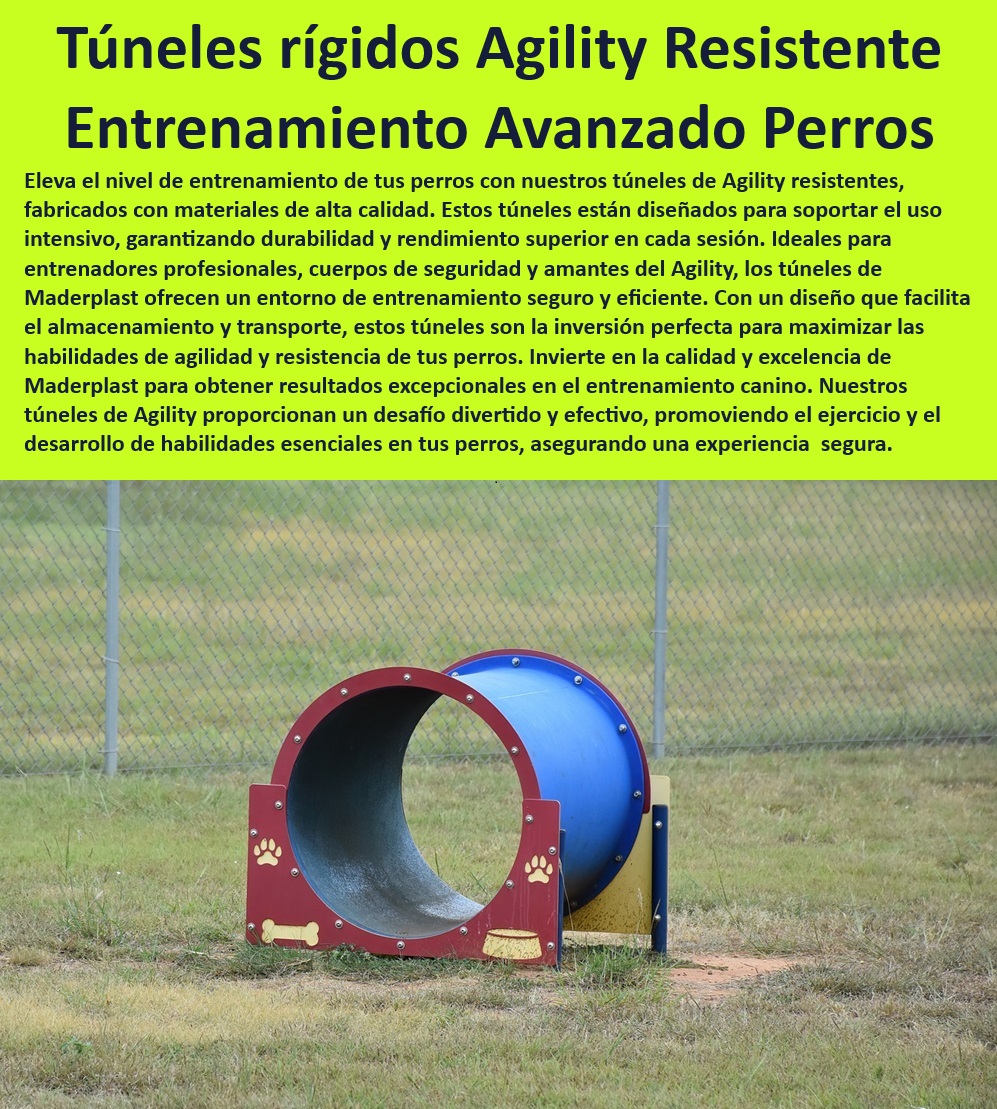 Túnel rígido canino Túnel colapsable Túnel ciego Túnel de agility plegable Maderplast  Túnel de entrenamiento para perros activos, , Túnel de agilidad para entrenamiento intensivo, , Túnel colapsable para agilidad de perros, , Túnel de agility plegable para transporte fácil, , Túnel de entrenamiento canino avanzado, , Equipos de entrenamiento de alta calidad para perros, , Equipos de agility duraderos para mascotas, , Túnel seguro para entrenamiento de agilidad, , Túnel agility resistente para perros, , Túnel de agilidad para exteriores y competiciones, , Túnel de agilidad con superficie antideslizante, , Túnel canino con diseño ergonómico, , Mejora habilidades caninas con túnel de agility, , Túnel de ejercicio para perros de competencia, , Equipos profesionales de agilidad para caninos, , ¿Cómo puedo comprar un túnel de ejercicio para perros de Maderplast?, , Túnel de agilidad seguro y efectivo Maderplast, , Equipos de entrenamiento para agilidad canina Maderplast, , ¿Cuál es el mejor túnel de agilidad para perros disponibles en el mercado?, , ¿Dónde puedo encontrar un túnel de agility resistente para entrenamiento canino?, , Túnel de ejercicio duradero para perros Maderplast, , Equipos Maderplast para entrenamiento canino, , Soluciones de entrenamiento canino Maderplast, , Túnel ciego para entrenamiento canino seguro, , Túnel rígido canino para entrenamiento, , Túnel canino para maximizar rendimiento, , ¿Qué características tienen los túneles de agility Maderplast para entrenamiento avanzado?, , Equipos de agilidad portátiles para entrenadores, , ¿Qué túnel de agilidad ofrece la mejor relación calidad-precio para entrenadores profesionales?, , Túnel de agilidad ajustable para diferentes razas catálogo Túnel de agilidad resistente Materiales de alta calidad Túnel para perros de agility Entrenamiento avanzado Túnel de ejercicio perros Túnel rígido canino Túnel colapsable Túnel ciego Túnel de agility plegable Maderplast , catálogo Túnel de agilidad resistente Materiales de alta calidad , Túnel para perros de agility Entrenamiento avanzado , Túnel de ejercicio perros