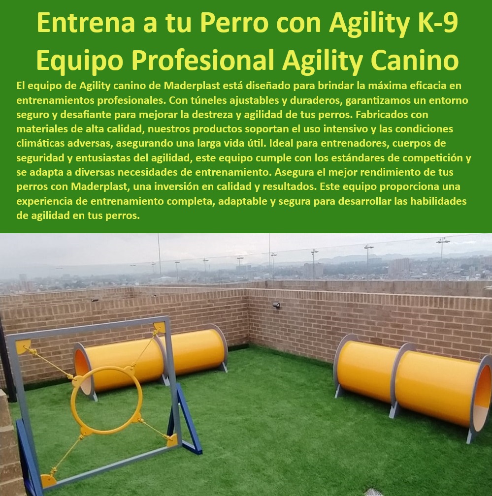 Túnel rígido canino Túnel colapsable Túnel ciego Túnel de agility plegable Maderplast  Inversiones en equipos de agilidad canina de alta calidad, , Equipo profesional Agility K-9 para entrenadores caninos, , Equipos de agilidad Maderplast para entrenamiento en interiores y exteriores, , Equipos de entrenamiento canino seguros y efectivos para parques, , Equipos de entrenamiento canino ajustables para cualquier necesidad, , Soluciones profesionales de Maderplast para entrenamiento canino eficaz, , Equipos de entrenamiento canino Maderplast con ajuste personalizable, , Equipos de agilidad Maderplast para entrenamiento canino avanzado, , Equipo de agility canino profesional para parques urbanos, , Equipos de agility canino para desarrollo profesional de habilidades, , Equipos caninos Maderplast para entrenamiento efectivo y seguro, , Túneles de agility para perros con seguridad y durabilidad garantizada, , ¿Cuáles son los mejores equipos de agility canino para entrenadores profesionales?, , Túneles de entrenamiento canino para competencias y práctica diaria, , Soluciones de agilidad para perros ideales para entrenamiento competitivo, , Equipos de entrenamiento para perros con garantía de larga duración, , Equipos caninos para mejorar agilidad en condiciones adversas, , ¿Cómo seleccionar equipos de entrenamiento canino para condiciones climáticas adversas?, , Soluciones de entrenamiento canino para todas las condiciones climáticas, , Túneles de agilidad canina para uso intensivo y competiciones, , Túneles ajustables de agilidad canina para entrenadores profesionales, , Equipos Maderplast de agilidad canina para entrenadores exigentes, , Equipos de entrenamiento canino Maderplast para mejora de rendimiento, , Mejores equipos de entrenamiento canino para agilidad y resistencia, , ¿Qué equipo de entrenamiento canino ofrece la mejor adaptabilidad para diferentes necesidades?, , Soluciones duraderas para agilidad canina en parques y centros de entrenamiento, , ¿Qué características tiene el equipo Agility K-9 de Maderplast?, , ¿Dónde puedo comprar equipos de agilidad canina duraderos para uso intensivo?, , Equipos caninos para desarrollo de agilidad y destreza en perros, , Inversión en calidad para entrenamiento de perros con equipos Maderplast catálogo Túnel para competencia agility Cumple con estándares Túnel largo para agility Ideal para entrenamientos largos Túnel canino ajustable Túnel rígido canino Túnel colapsable Túnel ciego Túnel de agility plegable Maderplast , catálogo Túnel para competencia agility Cumple con estándares , Túnel largo para agility Ideal para entrenamientos largos , Túnel canino ajustable