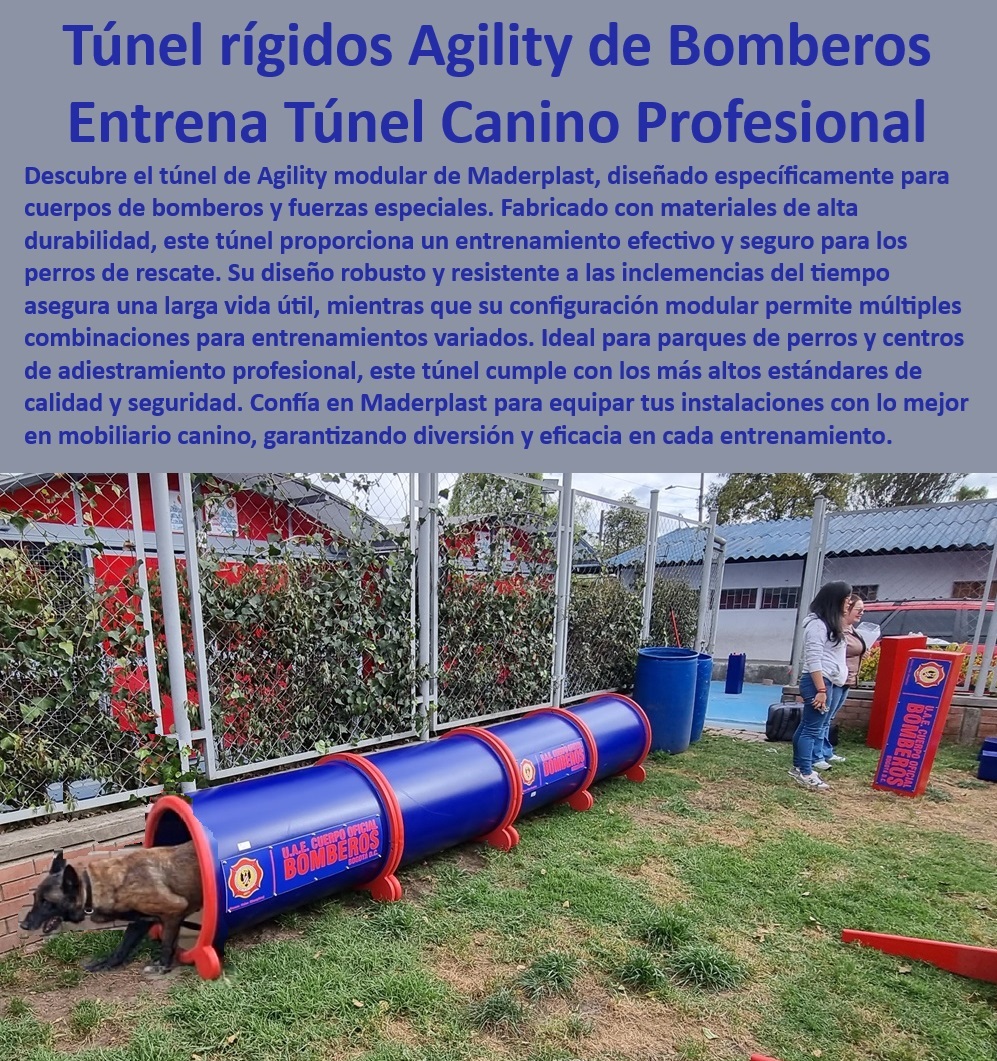 Túnel rígido canino Túnel colapsable Túnel ciego Túnel de agility plegable Maderplast  Equipos Maderplast entrenamiento canino, , Túnel canino para exterior, , ¿Qué túnel de agility ofrece Maderplast para fuerzas especiales?, , Equipos durables adiestramiento canino, , Equipos profesionales agility Maderplast, , Túnel entrenamiento fuerzas especiales, , Soluciones Maderplast para adiestramiento, , Túnel agilidad modular perros, , ¿Cuál es el mejor túnel para entrenar perros policía?, , Túnel de agilidad resistente, , Túnel canino para entrenadores, , Túnel entrenamiento canino rígido, , Túnel de entrenamiento versátil, , Túnel resistente para perros, , Túnel canino para agilidad, , Túnel diversión canina asegurada, , Túnel agility para bomberos, , ¿Qué túnel es recomendado para entrenamiento de perros de rescate?, , Entrenamiento canino con túnel, , Túnel canino ajustable profesional, , Túnel canino seguro y efectivo, , Configuración modular túnel agility, , Túnel canino para competencias, , Túnel Agility bomberos canino, , Túnel para parques de perros, , Equipos Maderplast para caninos, , ¿Dónde comprar túnel de agility para entrenamiento canino?, , Túnel canino de alta calidad, , Mejor túnel entrenamiento canino, , ¿Cómo encontrar un túnel de agilidad duradero para perros? perros Bomberos ejército policía Túnel de agilidad modular Configuraciones múltiples Túnel parques de perros Diversión asegurada Túnel rígido Túnel rígido canino Túnel colapsable Túnel ciego Túnel de agility plegable Maderplast , perros Bomberos ejército policía Túnel de agilidad modular Configuraciones múltiples , Túnel parques de perros Diversión asegurada Túnel rígido