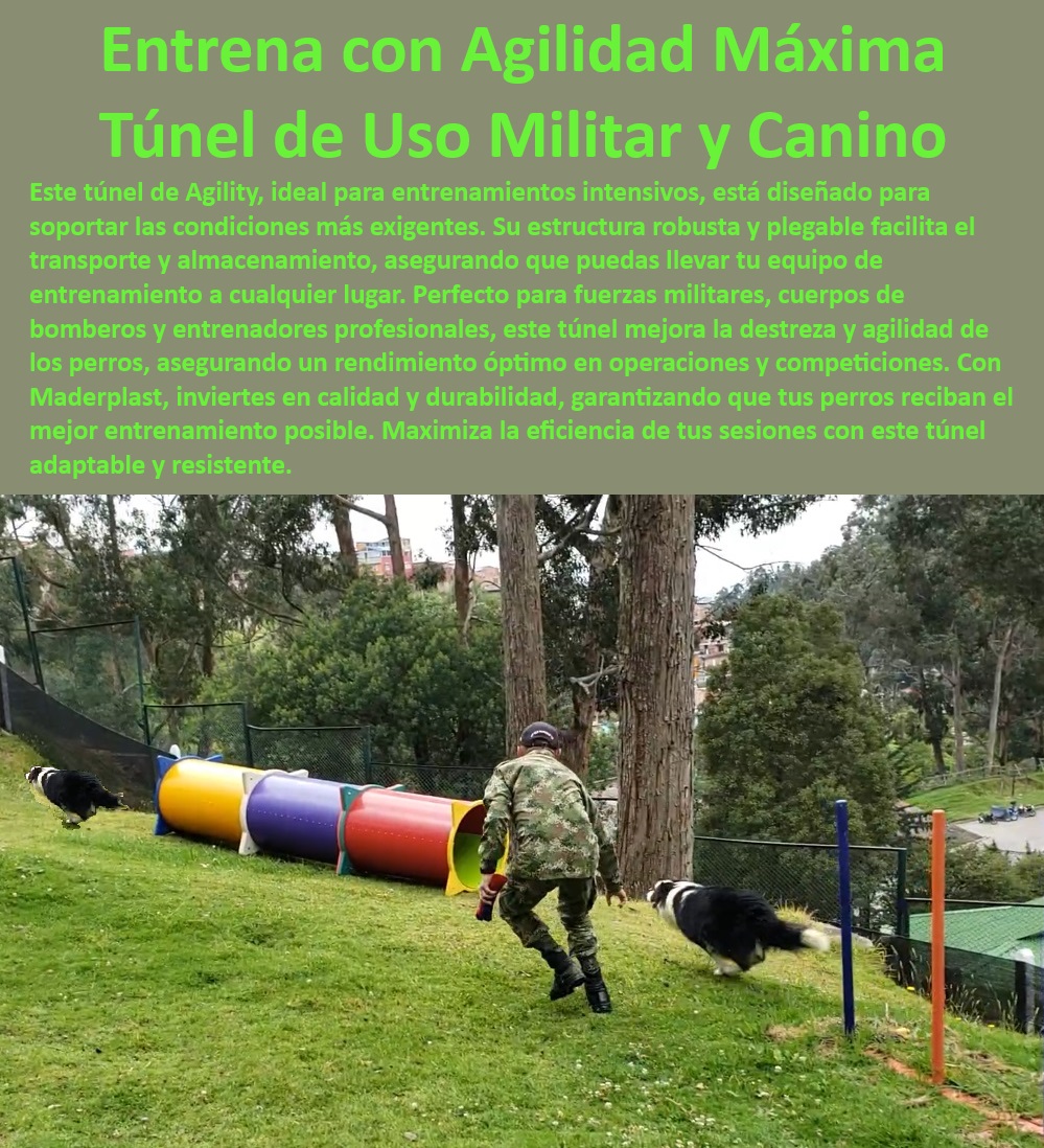 Túnel rígido canino Túnel colapsable Túnel ciego Túnel de agility plegable Maderplast  Túneles de agilidad diseñados para uso militar y policial, , ¿Qué características tienen los túneles de agilidad Maderplast para perros?, , Equipos de agilidad canina para adiestramiento progresivo Maderplast, , Mejor túnel de agilidad para entrenamiento de perros policía, , Mejores prácticas con túneles de agilidad para entrenadores de perros, , ¿Qué túnel de agilidad recomiendan para perros en fuerzas especiales?, , Túnel canino resistente para condiciones extremas Maderplast, , Equipos profesionales para agilidad canina en fuerzas especiales, , Túnel canino de alta calidad para entrenamientos tácticos, , Túnel de entrenamiento adaptable para perros de servicio, , Soluciones Maderplast en equipos de agilidad canina, , Túneles caninos profesionales para mejorar agilidad y coordinación, , Túneles caninos Maderplast para agilidad y entrenamiento táctico, , Equipos de entrenamiento canino portátiles de alta durabilidad, , Túnel de agilidad fácil de transportar y almacenar, , Innovaciones en entrenamiento canino para unidades K-9, , ¿Cómo encontrar túneles de agilidad portátiles para entrenamiento canino?, , Soluciones avanzadas en túneles de agilidad canina para competencias, , Túneles de entrenamiento canino con estructura robusta y plegable, , Equipos tácticos de agilidad canina para cuerpos de emergencia, , ¿Cuál es el mejor túnel de entrenamiento para perros de policía?, , ¿Dónde puedo comprar un túnel de agilidad canina para uso militar?, , Equipos portátiles Maderplast para entrenamiento canino en exteriores, , Túneles flexibles y seguros para entrenamiento canino, , Equipamiento de entrenamiento canino para competiciones profesionales, , Túnel de agilidad canina para entrenamiento militar Maderplast, , Túneles de agilidad canina para mejor desempeño y rendimiento, , Túneles plegables para entrenamiento intensivo de perros, , Durabilidad y eficiencia en túneles de agilidad para perros, , Equipos de entrenamiento canino para ejército y policía Maderplast perros ejército policía Túnel de agility portátil Fácil transporte Túnel de Agility para perros Mejora la agilidad Túnel flexible para agility Túnel rígido canino Túnel colapsable Túnel ciego Túnel de agility plegable Maderplast , perros ejército policía Túnel de agility portátil Fácil transporte , Túnel de Agility para perros Mejora la agilidad , Túnel flexible para agility