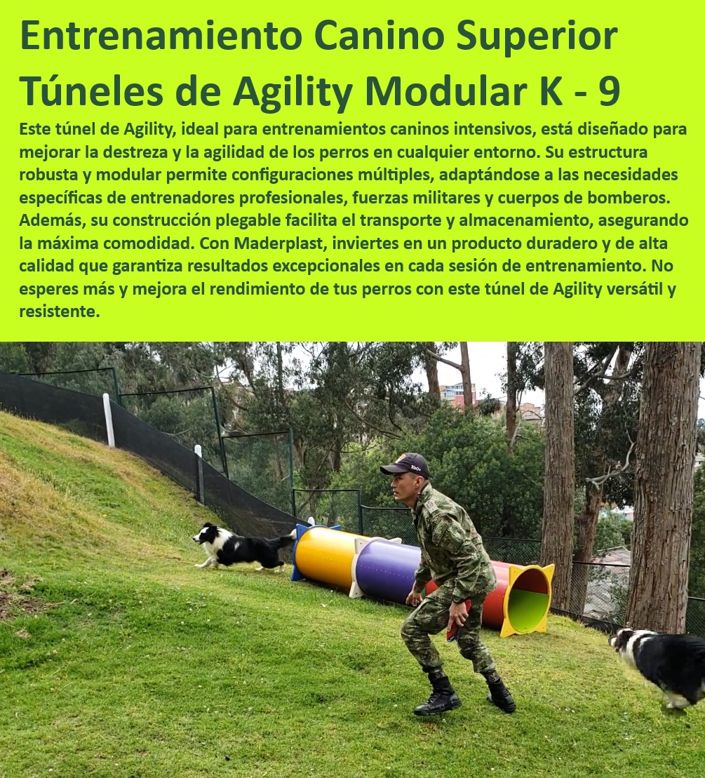 Túnel rígido canino Túnel colapsable Túnel ciego Túnel de agility plegable Maderplast  Equipos de entrenamiento canino Maderplast para fuerzas especiales, , Innovador túnel de agilidad canina para cuerpos de bomberos, , Túnel de Agility para unidades K-9 de alto rendimiento, , Túnel de entrenamiento canino adaptable y resistente Maderplast, , Túneles de agilidad canina de estructura robusta y modular, , ¿Cómo encontrar túneles de agilidad canina adaptables para entrenamiento profesional?, , Túnel de Agility Maderplast para entrenamiento intensivo, , Soluciones profesionales en túneles de agilidad para perros, , ¿Cuál es el mejor túnel de agilidad para entrenamiento K-9?, , Mejores prácticas de entrenamiento con túneles de agilidad, , Túneles para entrenamiento canino con múltiples configuraciones, , Equipos tácticos de agilidad canina para rendimiento excepcional, , ¿Qué características tienen los túneles de agilidad Maderplast para entrenamiento intensivo?, , Mejores túneles de entrenamiento canino para competencias, , Túnel de Agility Modular K-9 para entrenamiento canino, , Equipos modulares de agilidad canina para fuerzas militares, , ¿Dónde puedo comprar un túnel de agilidad canina modular?, , Túneles caninos para agilidad y entrenamiento táctico, , Túneles de entrenamiento canino plegables y transportables, , Equipos de agilidad canina de alta durabilidad para entrenamiento, , Túnel de agilidad canina seguro y adaptable Maderplast, , Túnel de agilidad canina para entrenamiento progresivo, , Túneles modulares para agilidad canina en cualquier ambiente, , Equipos de agilidad canina para mejorar destreza y coordinación, , Túneles de entrenamiento canino de alta calidad Maderplast, , ¿Qué túnel de agilidad recomiendan para unidades militares caninas?, , Túneles de entrenamiento canino para adaptarse a diferentes habilidades, , Equipamiento canino Maderplast para entrenadores profesionales, , Equipos modulares para entrenamiento canino con garantía de durabilidad, , Soluciones Maderplast para entrenamiento canino en exteriores perros ejército policía Túnel para parques de perros Diversión asegurada Túnel flexible agility Adaptabilidad garantizada Túnel de agility pet Túnel rígido canino Túnel colapsable Túnel ciego Túnel de agility plegable Maderplast , perros ejército policía Túnel para parques de perros Diversión asegurada , Túnel flexible agility Adaptabilidad garantizada , Túnel de agility pet