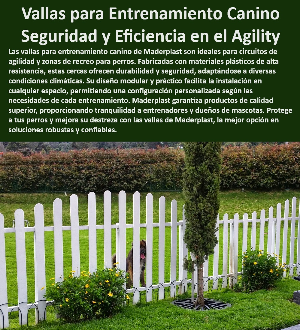 Vallas Desmontables Para Perros Vallado Caninos Cercas Enrejado Maderplast  vallas desmontables para perros: versátiles y fáciles de instalar, , vallado canino para circuitos de agility: entrenamiento profesional, , cercas para perros desmontables y seguras: ideales para entrenamiento, , enrejado modular para perros: adaptable a diferentes espacios, , vallas para perros resistentes y duraderas: protección garantizada, , vallado canino para entrenamiento de rescate: calidad profesional, , cercas para perros con diseño práctico: fácil montaje y desmontaje, , enrejado para perros Maderplast: seguridad y versatilidad para tu mascota, , vallas desmontables para perros de competición: entrenamiento de alto nivel, , vallado canino para adiestramiento: mejora la obediencia y agilidad, , cercas para perros con materiales de alta calidad: resistencia y durabilidad, , enrejado para perros Maderplast: la elección de expertos en entrenamiento, , vallas desmontables para perros: crea circuitos de agility personalizados, , vallado canino para espacios reducidos: adaptable a cualquier entorno, , cercas para perros con sistema de anclaje seguro: evita fugas y accidentes, , enrejado para perros fácil de transportar: ideal para entrenamientos en exteriores, , vallas desmontables para perros Maderplast: garantía de calidad y satisfacción, , vallado canino: la solución perfecta para entrenar a tu perro de rescate, , cercas para perros: invierte en el bienestar y seguridad de tu mascota, , enrejado para perros: crea un espacio seguro y controlado para tu perro, , vallas desmontables para perros: ideales para criadores y profesionales, , vallado canino Maderplast: la mejor opción para entrenadores exigentes, , cercas para perros: ¡entrena a tu perro como un campeón!, , enrejado para perros: fácil de limpiar y mantener en perfectas condiciones, , vallas desmontables para perros: la solución versátil para el entrenamiento canino, , Palabras clave de búsqueda por voz (5):, , ¿Dónde puedo encontrar vallas desmontables para entrenar a mi perro?, , ¿Cuáles son las mejores cercas para crear un circuito de agility en mi jardín?, , ¿Qué tipo de vallado es más adecuado para entrenar a un perro de rescate?, , ¿Cómo puedo asegurarme de que mi perro esté seguro durante el entrenamiento con vallas?, , ¿Maderplast ofrece vallas desmontables para perros de diferentes tamaños y necesidades? Vallado para circuitos de agilidad canina Vallado versatilidad y diseño práctico Vallado de entrenamiento de perros para rescate Vallado especialización 0   