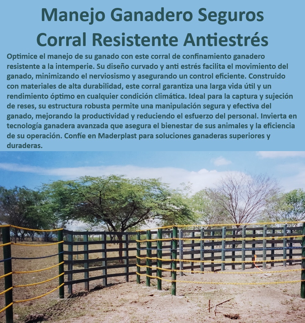 Brete Curvado Óptimo Manejo Ganadero Calceta Circular Antiestrés Maderplast Instalaciones ganaderas superiores y duraderas, - Corral de confinamiento para ganadería, - Corral de captura de alta resistencia, - Sujeción segura en corrales de confinamiento, - Manejo ganadero seguro y eficiente, - Soluciones ganaderas duraderas Maderplast, - Corral ganadero de bajo mantenimiento, - Corral optimizado para manejo de reses, - Corral de manejo seguro para reses, - Corrales diseñados para reducir el estrés, - Corrales de confinamiento para ganado bovino, - Corrales eficientes para captura y sujeción, - ¿Qué corral ganadero reduce el estrés en el ganado?, - Corral resistente para clima extremo, - Corrales duraderos para manejo de ganado, - Sistema de sujeción ganadera eficiente, - Corrales curvados para manejo eficiente, - ¿Dónde comprar corrales ganaderos anti estrés duraderos?, - Corral resistente a la intemperie Maderplast, - Corral ganadero anti estrés resistente, - ¿Cómo elegir un corral resistente para captura de reses?, - Estructura anti estrés para ganado bovino, - Estructura robusta para captura de reses, - Manejo ganadero avanzado con Maderplast, - Corral de alta durabilidad para ganadería, - Corrales seguros para operaciones ganaderas, - ¿Qué ventajas ofrecen los corrales de confinamiento curvados?, - ¿Cuál es el mejor corral para manejo ganadero seguro?, - Tecnología avanzada en manejo ganadero, - Corrales de confinamiento con diseño curvado 0 anti estrés Corral de confinamiento ganadero resistente a la intemperie Manga de captura de reses Corral de sujeción Manga trabajo Manga engorda Brete Curvado Óptimo Manejo Ganadero Calceta Circular Antiestrés Maderplast 0 anti estrés Corral de confinamiento ganadero resistente a la intemperie, , Manga de captura de reses, , Corral de sujeción, , Manga trabajo, , Manga engorda