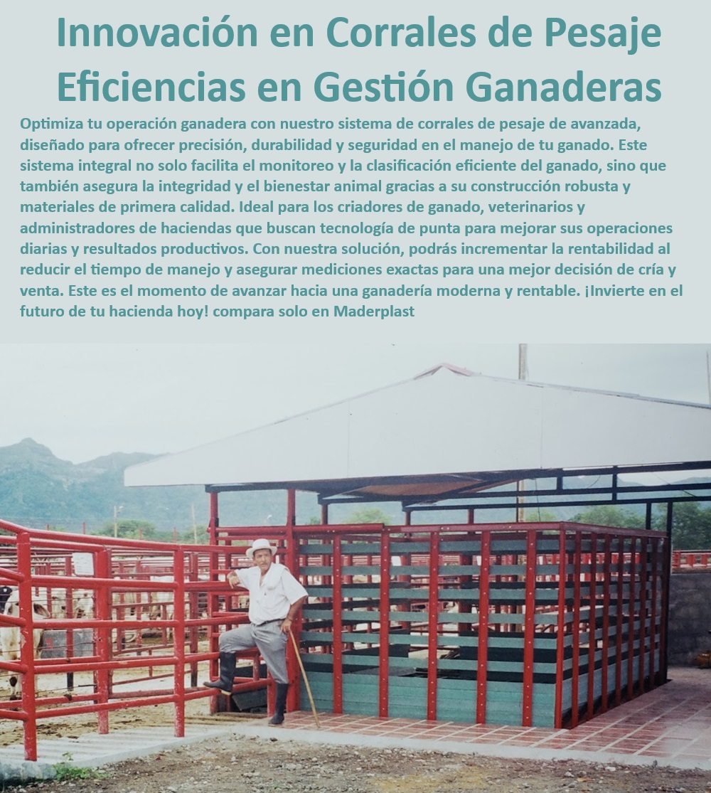 Básculas Ganaderas Básculas Para Pesar Ganado Corral Pesa Ganadera Maderplast Corral ganadero con medición exacta, - Corral para pesaje con bienestar animal, - Corral para pesaje con monitoreo eficiente, - Corral de pesaje con alta eficiencia, - Corral de pesaje ganadero ecológico, - Corral ganadero con sistema integral de pesaje, - Corral para pesaje de ganado seguro, - Corral de pesaje con seguridad garantizada, - Corral de pesaje con estructura robusta, - Corral ganadero con precisión avanzada, - Corral de pesaje con manejo eficiente, - Corral de pesaje con materiales duraderos, - Corral de pesaje para ganado eficiente, - Corral ganadero para optimización de procesos, - Corral para pesaje con reducción de costos, - Corral de pesaje con tecnología de punta, - ¿Cómo mejorar la eficiencia en el pesaje de ganado?, - Corral ganadero con tecnología avanzada, - Corral ganadero para mejorar productividad, - Corral de pesaje con fácil instalación, - Corral para pesaje ganadero preciso, - ¿Qué corral de pesaje ganadero ofrece mayor precisión?, - Corral de pesaje con garantía de calidad, - Corral para pesaje con alta durabilidad, - Corral para pesaje ganadero moderno, - ¿Cuál es el corral más eficiente para pesar ganado?, - ¿Cuál es el mejor corral para pesaje seguro de ganado?, - Corral de pesaje ganadero resistente, - ¿Dónde comprar un corral de pesaje para ganado?, - Corral ganadero para clasificación eficiente 0 Corrales seguros CAJA CONTENEDOR PARA BASCULA Instalaciones ganaderas con manejo eficiente CAJA CONTENEDOR PARA BASCULA corrales exposición subasta 0 Básculas Ganaderas Básculas Para Pesar Ganado Corral Pesa Ganadera Maderplast 0 Corrales seguros CAJA CONTENEDOR PARA BASCULA , Instalaciones ganaderas con manejo eficiente CAJA CONTENEDOR PARA BASCULA  , corrales exposición subasta 0