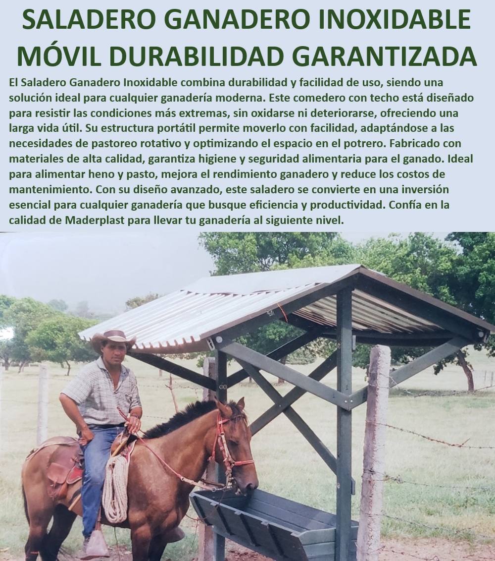 Comedero Saladero De Ganadería Saladeros Fijos y Portátiles Fácil de Mover Maderplast Comedero ganadero con alta durabilidad, - Comedero ganadero para alimentación segura, - Saladero ganadero de bajo mantenimiento, - Saladero ganadero con máxima resistencia, - Comedero inoxidable para alimentación eficiente, - ¿Qué saladero es más duradero para ganadería moderna?, - Saladero portátil con alta eficiencia, - Comedero para mejorar rendimiento ganadero, - Saladero móvil adaptable a cualquier terreno, - Comedero portátil para optimizar espacio, - Saladero ganadero inoxidable con techo, - Comedero portátil para ganadería moderna, - Saladero portátil resistente a la corrosión, - Comedero portátil fácil de mover, - Saladero móvil que optimiza la producción, - Saladero resistente a condiciones extremas, - Saladero ganadero con diseño avanzado, - Comedero para ganadería tecnificada, - Comedero inoxidable para alimentación de calidad, - ¿Qué saladero resistente es ideal para climas extremos?, - Saladero móvil para rotación de potreros, - Saladero ganadero con higiene garantizada, - ¿Qué saladero ganadero es fácil de mover y duradero?, - ¿Cómo mejorar la alimentación ganadera con un saladero portátil?, - Saladero móvil para optimizar pastoreo, - ¿Cómo elegir un comedero inoxidable para ganado?, - Saladero portátil de larga vida útil, - Comedero ganadero con estructura duradera, - Comedero móvil para ganaderías intensivas, - Comedero inoxidable para ganadería eficiente 0 Saladeros con techo Comederos heno y pastoreo con diseño avanzado Comederos para ganado Comederos Alimentadores el rendimiento ganadero Sal Comedero Saladero De Ganadería Saladeros Fijos y Portátiles Fácil de Mover Maderplast 0 Saladeros con techo , Comederos heno y pastoreo con diseño avanzado , Comederos para ganado , Comederos Alimentadores el rendimiento ganadero Sal