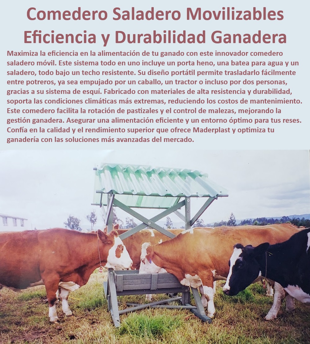 Comedero saladero de ganaderia Saladero Móvil portátil fácil de Mover Maderplast Comedero portátil con baja mantención, - ¿Cómo reducir el costo de mantenimiento de los saladeros?, - ¿Cómo mejorar la alimentación del ganado con un saladero portátil?, - Comedero saladero para mejorar la producción ganadera, - Saladero portátil de larga vida útil, - Comedero saladero portátil para terrenos irregulares, - Comedero multifuncional para ganadería avanzada, - Saladero portátil con techo resistente, - Saladero con protección climática ganadera, - ¿Cuál es el mejor saladero móvil para ganadería?, - Comedero multifuncional para alimentación ganadera, - Comedero con protección contra el sol, - Comedero saladero de alta durabilidad, - Comedero para manejo eficiente del ganado, - Saladero móvil de alta eficiencia, - Saladero portátil para gestión ganadera, - Comedero saladero movible para ganado, - Saladero portátil para mejorar la eficiencia, - ¿Qué comedero portátil es más eficiente para ganado?, - Saladero móvil para rotación de potreros, - Comedero móvil para ganaderías intensivas, - Comedero portátil fácil de mover, - ¿Qué comedero es ideal para rotación de pastizales?, - Comedero móvil para reducir costos de mantenimiento, - Comedero portátil de fácil instalación, - Saladero portátil resistente y duradero, - Comedero móvil para condiciones extremas, - Saladero portátil para ganadería sostenible, - Saladero portátil para climas extremos, - Comedero para pastoreo rotativo 0 Saladeros para ganado inteligentes y eficientes Saladeros portátiles para manejo eficiente de ganado Saladeros móviles Saladeros para ganado sal 