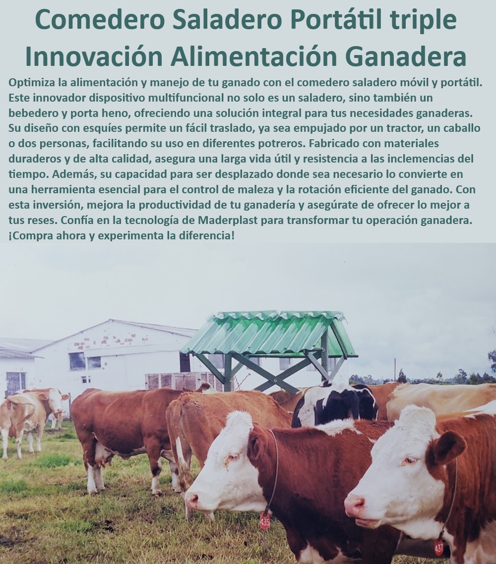 Comedero saladero de ganadería Saladero Móvil portátil fácil de Mover Maderplast Comedero móvil de alta durabilidad, - ¿Cómo aumentar la productividad con un comedero portátil?, - Comedero saladero móvil de Maderplast, - Comedero duradero para alimentación de ganado, - Alimentación eficiente con comedero portátil, - Saladero móvil de fácil transporte, - Comedero multifuncional para ganado Maderplast, - Saladero portátil para manejo ganadero, - Alimentación ganadera con comedero portátil, - Comedero saladero para pastoreo eficiente, - Comedero saladero portátil para ganado, - Saladero portátil multifuncional, - Comedero portátil para control de maleza, - Comedero ganadero portátil y resistente, - Comedero saladero de alta calidad, - Comedero saladero resistente a la intemperie, - ¿Qué comedero móvil facilita el manejo ganadero?, - ¿Cómo mejorar la alimentación de ganado en pastoreo?, - Comedero saladero fácil de mover, - Saladero móvil para ganadería sostenible, - Innovación en alimentación ganadera portátil, - Solución integral en comederos ganaderos, - Innovador comedero saladero para reses, - ¿Qué comedero saladero es más duradero y eficiente?, - Comedero para engorde de ganado portátil, - ¿Cuál es el mejor comedero saladero portátil para ganado?, - Comedero para engorde de ganado eficiente, - Comedero saladero para rotación ganadera, - Comedero portátil para rotación de pastoreo, - Comedero de fácil traslado para ganado 0 Comedero inoxidable ganado Comedero para engorde ganado Saladeros plásticos Comederos de alta calidad para engorde de ganado saladeros Comedero Comedero saladero de ganadería Saladero Móvil portátil fácil de Mover Maderplast 0 Comedero inoxidable ganado , Comedero para engorde ganado , Saladeros plásticos , Comederos de alta calidad para engorde de ganado , saladeros Comedero