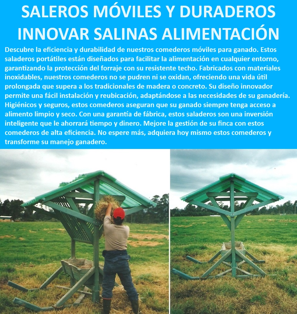 Comederos saladeros de ganado Saladeros portátiles fáciles de instalar Maderplast Comedero ganadero que ahorra tiempo y dinero, - Saladero portátil con instalación rápida, - Comedero para ganado fácil de instalar, - Comedero con techo protector para ganado, - Comedero eficiente para ganado en pastoreo, - Comedero móvil adaptable a terrenos, - Comedero inoxidable para exteriores, - Saladero para ganadería moderna, - Comedero ganadero para optimizar la alimentación, - Saladero portátil para mejorar la productividad, - ¿Cuál es el comedero más eficiente para ganado?, - Saladero resistente a la corrosión, - Saladero para ganado de alta durabilidad, - Saladero para ganado que no se oxida, - Comedero móvil para ganado, - Comedero ganadero para grandes extensiones, - Saladero con diseño innovador, - Saladero portátil para fincas ganaderas, - Comedero ganadero de bajo mantenimiento, - Saladero ganadero con protección UV, - ¿Cuál es el mejor saladero portátil para ganado?, - Saladero para ganado en climas extremos, - Comedero fácil de limpiar y mover, - ¿Cómo proteger el alimento del ganado en exteriores?, - ¿Qué saladero móvil es fácil de instalar y mover?, - Saladero ganadero portátil inoxidable, - Comedero portátil de alta resistencia, - ¿Qué saladero es más duradero para climas extremos?, - Comedero ganadero con garantía de fábrica, - Saladero duradero para manejo ganadero 0 COMEDEROS CON TECHO MOVIB Comederos saladeros de ganado Saladeros portátiles fáciles de instalar Maderplast 0 COMEDEROS CON TECHO MOVIBLES 0 comederos para vacas , Comederos para exteriores con protección UV , Saladeros fáciles de instalar y desmontar , SALINALES 0 comederos para vacas Comederos para exteriores con protección UV Saladeros fáciles de instalar y desmontar SALINA