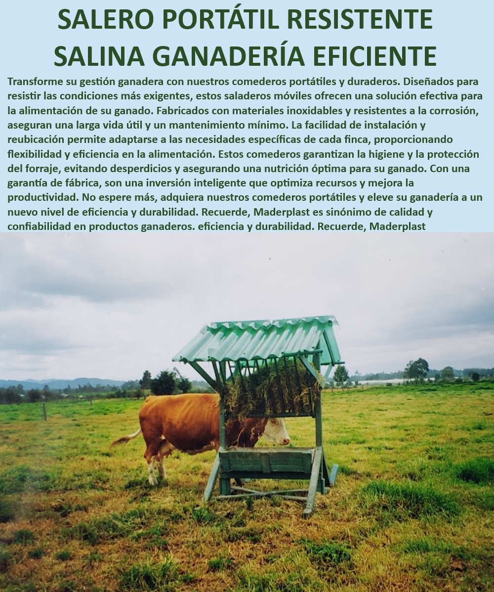 Comederos saladeros de ganado Saladeros portátiles fáciles de instalar Maderplast Comederos resistentes a las inclemencias del clima, - ¿Cómo instalar un saladero móvil en mi finca?, - Comederos portátiles para ganado eficientes, - Comederos robustos para manejo ganadero, - Comederos saladeros resistentes a la corrosión, - Saladeros resistentes para fincas ganaderas, - Comederos higiénicos para alimentación animal, - Saladeros portátiles para alimentación de ganado, - Saladeros inoxidables para ganado bovino, - Saladeros portátiles con diseño innovador, - ¿Cuál es el mejor comedero portátil para ganado?, - Saladeros móviles para potreros y fincas, - Saladeros ganaderos de larga vida útil, - ¿Qué comedero ganadero protege mejor el forraje?, - Comederos para ganado con instalación fácil, - Comederos para fincas con protección UV, - Comederos portátiles para ganaderías tecnificadas, - Saladeros con estructura resistente y segura, - Comederos plásticos para uso intensivo, - Saladeros para ganado eficientes y duraderos, - Comederos duraderos para uso ganadero, - Comederos para ganado con techo protector, - ¿Dónde comprar comederos plásticos para ganado?, - Comederos móviles para fincas ganaderas, - ¿Qué comedero ganadero es más duradero?, - Comederos multiuso para agua, sal y heno, - Comederos ganaderos de bajo mantenimiento, - Saladeros para ganado con garantía de fábrica, - Saladeros plásticos para alimentación eficiente, - Comederos para ganado fáciles de reubicar 0 Fáciles De Mover Multiusos Agua Heno Sal Melaza 0 Comederos económicos Saladeros plásticos Saladeros con estructura robusta y segura Saladeros 0 Comederos saladeros de ganado Saladeros portátiles fáciles de instalar Maderplast 0 Fáciles De Mover Multiusos Agua Heno Sal Melaza 0 Comederos económicos , Saladeros plásticos , Saladeros con estructura robusta y segura , Saladeros 0