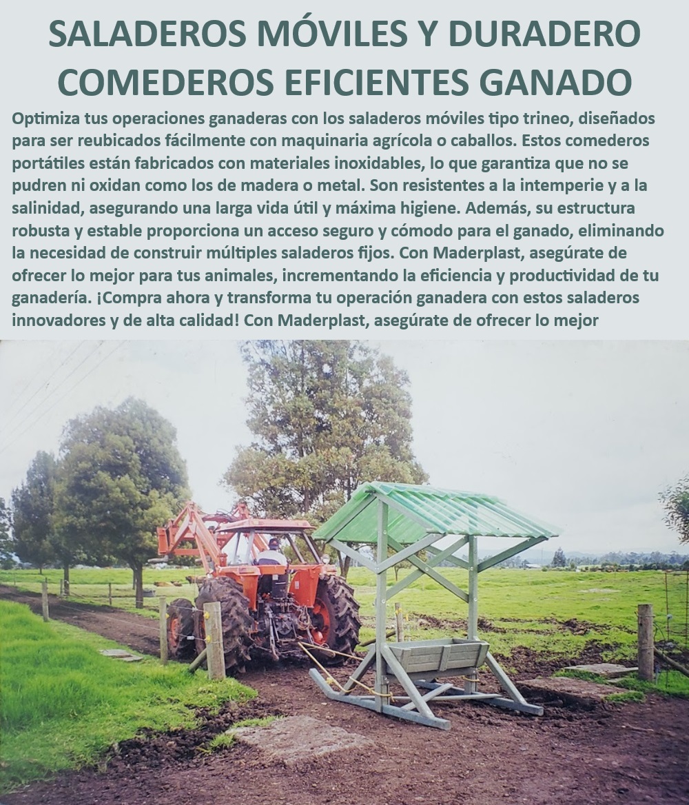 Comederos saladeros de ganado Saladeros portátiles fáciles de instalar Maderplast Comedero portátil resistente a la corrosión, - Saladero móvil resistente a la intemperie, - ¿Qué saladero portátil es más duradero?, - Saladero duradero para alimentación eficiente, - Saladero fácil de reubicar con tractor, - ¿Cómo se reubica un saladero ganadero con tractor?, - Saladero móvil con diseño innovador, - Comedero para ganado con reubicación sencilla, - Comedero portátil con alta durabilidad, - Comedero higiénico para ganado bovino, - Comedero eficiente para ganadería tecnificada, - Comedero fácil de mover para ganado, - Comedero portátil para ganadería de alto rendimiento, - Saladero ganadero con fácil instalación, - Saladero móvil para ganado eficiente, - ¿Cuál es el mejor saladero móvil para ganado?, - Comedero duradero para alimentación ganadera, - Comedero portátil para ganaderías modernas, - Saladero robusto para operaciones ganaderas, - Comedero ganadero con estructura robusta, - Saladero portátil para manejo ganadero, - Saladero portátil con protección contra oxidación, - Saladero inoxidable para ambientes exigentes, - Saladero tipo trineo para fincas ganaderas, - Comedero para ganado fácil de transportar, - Saladero inoxidable para uso intensivo, - Saladero ganadero con estructura estable, - ¿Qué saladero ganadero ofrece mayor resistencia?, - ¿Dónde comprar saladeros móviles para ganado?, - Comedero móvil resistente a la salinidad 0 Removible Fáciles De Mover Multiusos 0 Comederos portátiles económicos Saladero ganado alto rendimiento Comederos estables y seguros Comederos 0 Comederos saladeros de ganado Saladeros portátiles fáciles de instalar Maderplast 0 Removible Fáciles De Mover Multiusos 0 Comederos portátiles económicos , Saladero ganado alto rendimiento , Comederos estables y seguros , Comederos 0