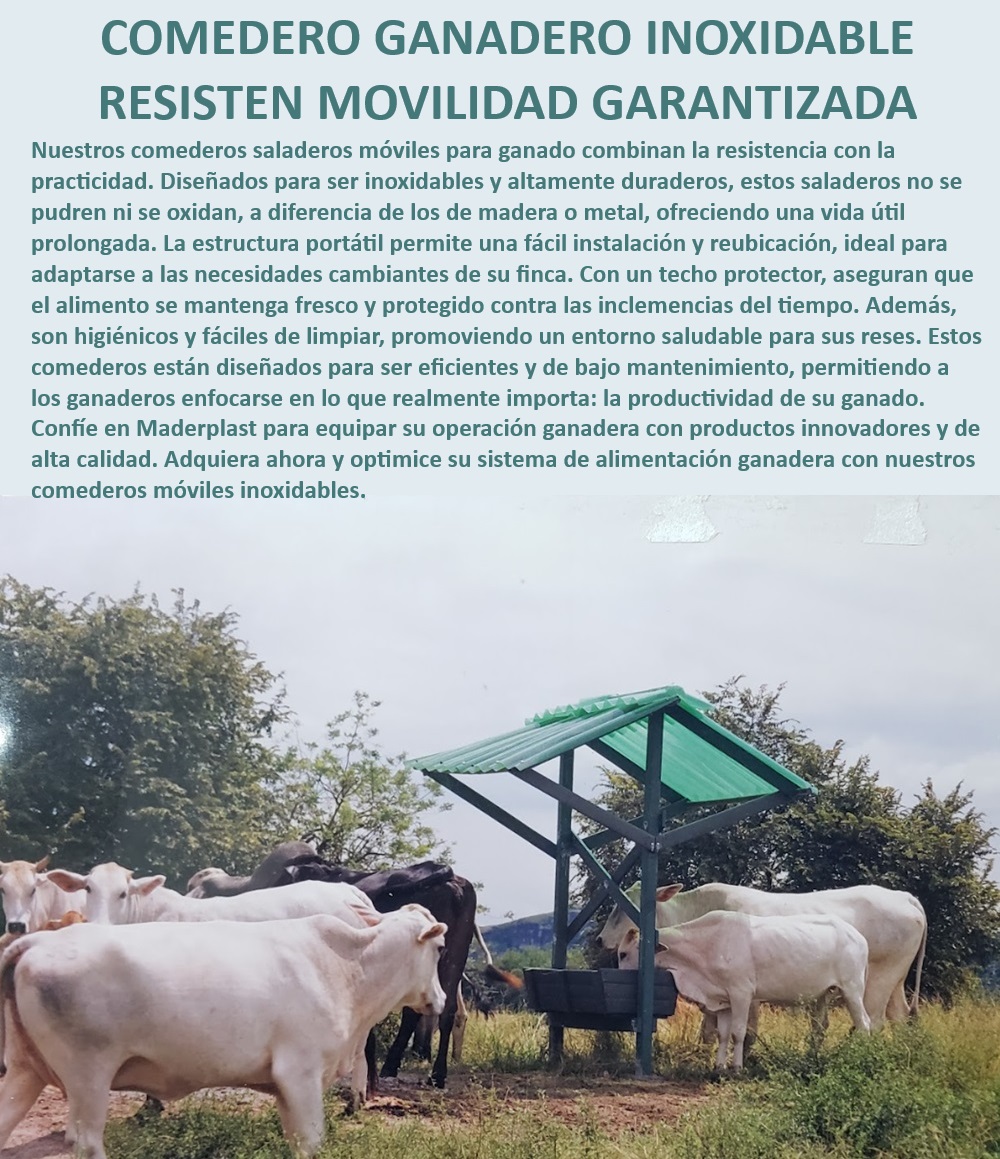 Comederos saladeros de ganado móvil Saladero portátil fácil de Mover Maderplast Comedero que mantiene el alimento fresco, - Comedero ganadero para climas extremos, - Comedero para ganado con protección climática, - ¿Qué comedero es más eficiente para alimentación ganadera?, - Comedero eficiente para alimentación de ganado, - ¿Qué comedero portátil es fácil de mover y limpiar?, - Comedero resistente a la corrosión, - Comedero ganadero inoxidable portátil, - Comedero para ganado sin oxidación, - Comedero para optimizar manejo ganadero, - Comedero de larga vida útil para ganado, - Comedero móvil para alimentar ganado, - Comedero inoxidable para alta resistencia, - Comedero móvil de alta durabilidad, - Comedero ganadero con techo protector, - Comedero para ganado fácil de limpiar, - Comedero para ganado fácil de trasladar, - ¿Cuál es el comedero más resistente para climas extremos?, - Comedero ganadero de bajo mantenimiento, - Comedero ganadero higiénico y seguro, - ¿Cómo evitar la oxidación en comederos de ganado?, - ¿Cuál es el mejor comedero portátil para ganado?, - Comedero para ganado con tecnología innovadora, - Comedero ganadero con estructura robusta, - Comedero ganadero eficiente y práctico, - Comedero móvil para ganadería moderna, - Comedero para ganado adaptable a terrenos, - Comedero portátil para mejorar productividad, - Comedero ganadero con diseño avanzado, - Comedero portátil con instalación rápida 0 Comedero eficiente para manejo ganadero Saladero portátil para ganado fácil instalación Bebederos inoxidables Saladeros personalizados Comederos Comederos saladeros de ganado móvil Saladero portátil fácil de Mover Maderplast 0 Comedero eficiente para manejo ganadero , Saladero portátil para ganado, fácil instalación , Bebederos inoxidables , Saladeros personalizados Comederos