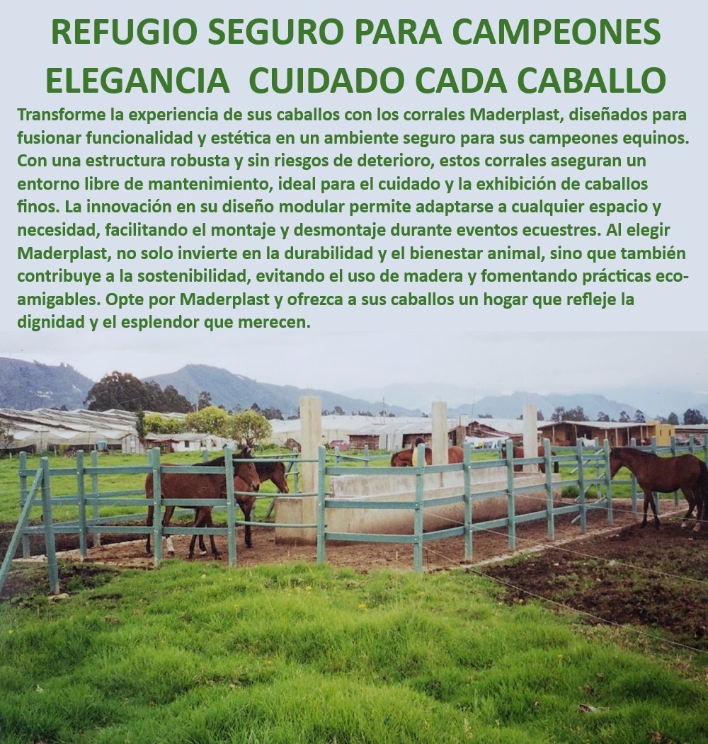 Corral para Caballos Corrales Caballerizas Caballos Establo Equinos Maderplast Corrales resistentes a climas extremos, - ¿Qué ventajas ofrece un corral modular para caballos?, - Corrales resistentes para climas extremos, - Corrales fáciles de montar para caballos, - Corrales innovadores para cría de caballos, - Corrales de alto rendimiento equino, - Corrales para exhibición de caballos, - Corrales ajustables para eventos ecuestres, - Corrales plásticos para caballos en pasto, - ¿Cuál es el mejor corral para caballos finos?, - Corrales de bajo mantenimiento para caballos, - Corrales seguros y sostenibles para caballos, - Corrales de madera plástica para caballos, - ¿Cómo escoger un corral ecológico para caballos?, - Corrales ecológicos para caballos, - Diseño de corrales ecuestres duraderos, - Corrales para establos equinos modernos, - Corrales seguros para caballos campeones, - Corral para caballos finos Maderplast, - Corrales modulares de alta calidad, - ¿Qué corrales son ideales para climas extremos?, - Corrales ergonómicos para caballos, - Corrales duraderos para establos equinos, - Corrales con diseño ergonómico, - Corrales antiestrés para caballos, - Corrales libres de mantenimiento para caballos, - Corrales ecológicos para caballos, - Corrales modulares para caballos, - Corrales para caballos de alto rendimiento, - ¿Cómo asegurar el bienestar de los caballos en el corral? 0 Corral de equinos con diseño ergonómico Pista ecuestre con sistema antiestrés Corral para caballos y canales con acceso rápido Área equina Corral Corral para Caballos Corrales Caballerizas Caballos Establo Equinos Maderplast 0 Corral de equinos con diseño ergonómico, , Pista ecuestre con sistema antiestrés, , Corral para caballos y canales con acceso rápido, Área equina Corral