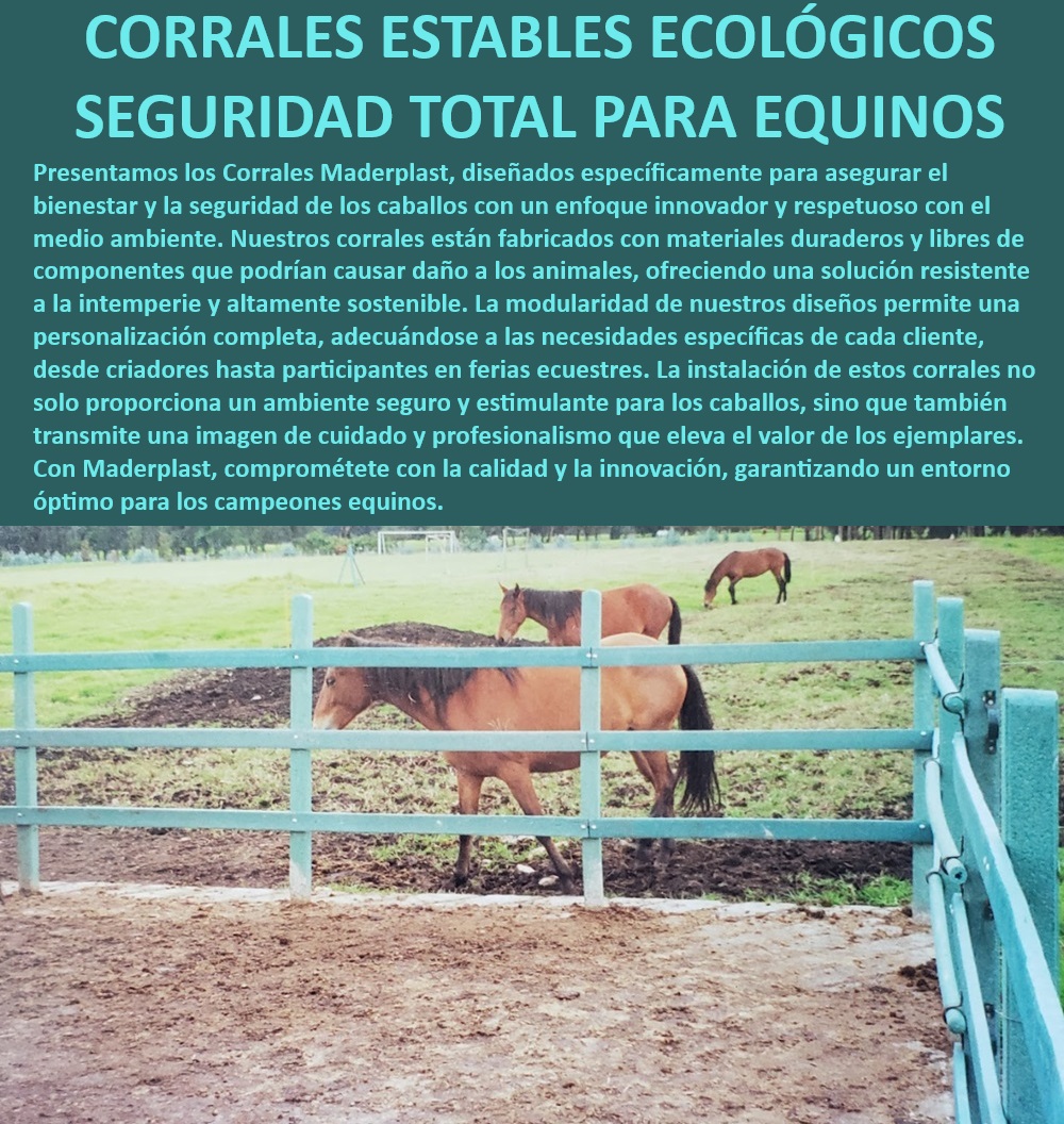 Corral para Caballos Corrales Caballerizas Caballos Establo Equinos Maderplast Infraestructura ganadera para equinos, - Corral para caballos de competición, - Corrales resistentes para caballos de paso, - Caballerizas personalizadas para equinos, - Corrales sostenibles para caballos, - Corrales para caballos con seguridad avanzada, - Corral modular para caballos, - Establos seguros para caballos, - Establos duraderos para caballos, - Instalaciones ganaderas para caballos, - Corral para caballos con protección total, - Corral para caballos de paso fino, - ¿Qué corral modular para caballos es más fácil de instalar?, - Caballerizas con diseño adaptable, - Corral para caballos libre de mantenimiento, - ¿Cómo elegir un corral duradero para caballos?, - Establo para caballos con manejo profesional, - Corrales resistentes para clima extremo, - Corral equino fácil de instalar, - Corrales para equinos seguros, - Corral para caballos ecológico, - ¿Qué corral para caballos ofrece mayor seguridad?, - ¿Qué corral para equinos resiste mejor el clima extremo?, - Corral para caballos resistente a la intemperie, - ¿Cuál es el mejor corral ecológico para caballos?, - Establos para caballos con diseño innovador, - Corral para equinos de larga duración, - Corrales para equinos con protección ambiental, - Corral para caballos con diseño modular, - Corral para caballos de alta calidad 0 Corral para caballos de paso Caballos finos Corral salto de caballos con seguridad avanzada Corral para caballos finos resistente a la intemperie Corral para Caballos Corrales Caballerizas Caballos Establo Equinos Maderplast 0 Corral para caballos de paso, , Caballos finos, , Corral salto de caballos con seguridad avanzada,  Corral para caballos finos resistente a la intemperie