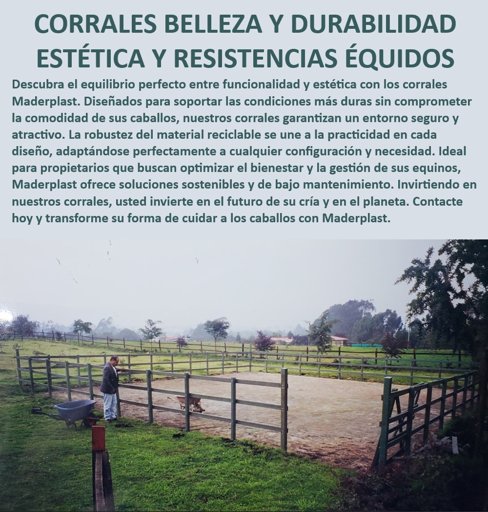 Corral para Caballos Finos Corrales Exhibición de Caballos Pista Equinos Maderplast Corral ecuestre con eficiencia en manejo, - ¿Cómo elegir un corral reciclable para exhibiciones equinas?, - Corrales para caballos de alto rendimiento, - Corrales reciclables para exhibición equina, - Corral para caballos de fácil instalación, - Corral ecuestre con baja mantención, - Corrales para pistas de exhibición equina, - Corrales para pistas de salto equino, - Corrales ecuestres de alto rendimiento, - Corral reciclable para manejo equino, - Corrales reciclables y resistentes Maderplast, - Corral para caballos con protección climática, - ¿Qué corral equino es más eficiente para pistas de salto?, - Corral de alta durabilidad para caballos, - Corrales modulares para exhibiciones ecuestres, - Corral estético y funcional para caballos, - ¿Dónde comprar un corral para caballos con diseño sostenible?, - Corral modular para caballos finos, - Corral de diseño sostenible para caballos, - Corral modular para caballos de exposición, - Corrales equinos con diseño ergonómico, - Corral resistente para exhibiciones equinas, - Corrales ecuestres de larga vida útil, - Corral para caballos duradero y resistente, - ¿Cuál es el mejor corral para caballos finos?, - Corrales para caballos finos Maderplast, - Corrales sostenibles para cría de caballos, - Pista ecuestre con eficiencia comprobada, - ¿Qué corral equino ofrece mayor durabilidad y resistencia?, - Corrales equinos para condiciones extremas 0 Cuarteo Corral para caballos duradero y resistente Pista ecuestre con eficiencia comprobada Corral reciclable Corral salto de caballo pasos finos Corral para Caballos Finos Corrales Exhibición de Caballos Pista Equinos Maderplast 0 Cuarteo, , Corral para caballos duradero y resistente,  Pista ecuestre con eficiencia comprobada, , Corral reciclable, Corral salto de caballo pasos finos