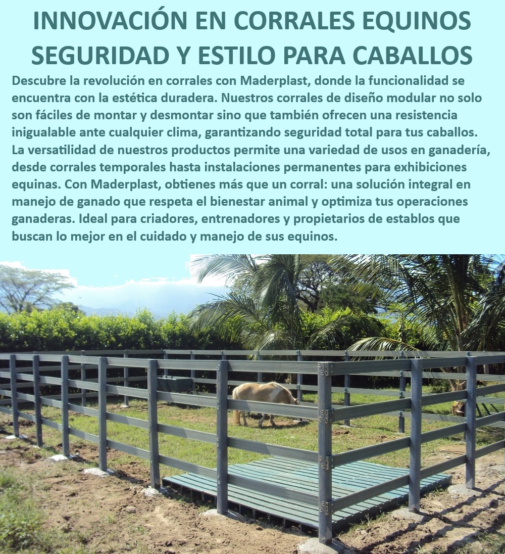 Corral para caballos Corrales exhibición de caballos Establos equinos Maderplast Corrales equinos duraderos y estéticos, - Corrales equinos fáciles de instalar, - Corrales de exhibición para caballos, - Corrales equinos adaptables a cualquier clima, - Diseño eficiente de establos equinos, - Corrales para caballos de alto rendimiento, - Bienestar animal en establos de Maderplast, - Innovación en manejo de caballos, - Soluciones integrales para manejo equino, - Establos reciclables para ranchos de caballos, - Estructuras modulares para caballos, - Corrales equinos para clima adverso, - Manejo efectivo de caballos en establos, - Instalaciones permanentes para caballos, - Corrales desmontables para exhibiciones equinas, - Corral para caballos modular resistente, - ¿Dónde comprar establos equinos resistentes y duraderos?, - Versatilidad en corrales para caballos, - Diseño ecológico en establos para caballos, - Establos equinos con diseño innovador, - ¿Cómo elegir corrales modulares para caballos?, - ¿Cómo mejorar el bienestar animal en establos para caballos?, - Establos de bajo mantenimiento para caballos, - Soluciones avanzadas para manejo equino, - Materiales reciclables en corrales equinos, - ¿Qué corral es ideal para el manejo seguro de caballos?, - Seguridad y estilo en corrales para caballos, - Corrales de trote para caballos resistentes, - Manejo seguro de caballos en corrales, - ¿Cuál es el mejor corral para exhibiciones de caballos? 0 caballo pony Corral de trote de caballos con componentes reciclables Ranchos caballos Corralillo equino manejo efectivo Corral para caballos 0 Corral para caballos Corrales exhibición de caballos Establos equinos Maderplast 0 caballo pony Corral de trote de caballos con componentes reciclables, , Ranchos caballos, , Corralillo equino manejo efectivo, , Corral para caballos 0