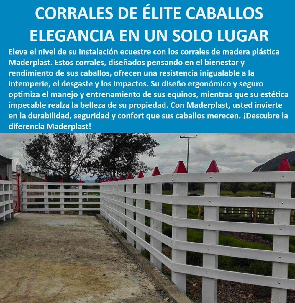 Corral para caballos Corrales exhibición de caballos Establos equinos Maderplast Corrales elegantes y seguros para caballos, - Corrales ecuestres con diseño personalizado, - Corrales que maximizan el bienestar equino, - Corral resistente para climas extremos, - Establos equinos con resistencia superior, - Corral para exhibición de caballos de élite, - Instalaciones ecuestres que realzan la propiedad, - Establos para caballos con alta resistencia, - ¿Cuál es el mejor material para corrales de caballos?, - Corrales para caballos de competición, - Corrales para entrenamiento de caballos, - Corrales plásticos para caballos, - Corrales de madera plástica para caballos, - Corrales para caballos con alta durabilidad, - ¿Qué tipo de corral es más resistente para caballos?, - ¿Cómo elegir un corral seguro y duradero para caballos?, - Corrales blancos para caballos de élite, - Corral de caballos resistente a la intemperie, - Corrales de élite para caballos, - Corrales que optimizan el rendimiento de caballos, - Corrales con diseño ergonómico para caballos, - ¿Dónde comprar corrales para caballos de élite?, - Corrales de exhibición para caballos, - Instalación ecuestre de alta calidad, - ¿Cuáles son los mejores corrales para exhibición de caballos?, - Soluciones ecuestres de alta calidad, - Corrales para caballos con bajo mantenimiento, - Recinto para caballos seguro y estético, - Corrales para manejo seguro de equinos, - Corrales duraderos para caballos 0 color blanco Recinto caballos Corral resistente optimiza tiempo Zona equina Corral con pista de paso para mejorar el rendimiento Corralito Corral para caballos Corrales exhibición de caballos Establos equinos Maderplast 0 color blanco Recinto caballos, , Corral resistente optimiza tiempo, , Zona equina, , Corral con pista de paso para mejorar el rendimiento,, , Corralito