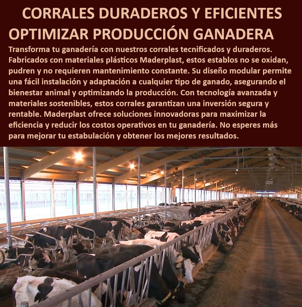 Corrales Estabulados Establos bovinos Diseño Corrales confinados Maderplast Reducción de costos operativos en ganadería, - ¿Qué tipo de corral es ideal para manejo bovino intensivo?, - Tecnología avanzada en corrales ganaderos, - Corrales duraderos para ganadería rentable, - Sistemas de confinamiento para bovinos, - Corrales que no se oxidan ni se pudren, - Corrales estabulados de alta durabilidad, - Establos para producción ganadera intensiva, - Establos bovinos para confinamiento eficiente, - Maximización de eficiencia en ganadería confinada, - Diseño de corrales para engorde de ganado, - Establos bovinos sin mantenimiento constante, - ¿Cuál es el mejor establo para engorde de ganado?, - Manejo bovino en establos tecnificados, - Construcción de establos con bienestar animal, - ¿Cómo elegir corrales duraderos para ganadería bovina?, - Establos resistentes al desgaste y la intemperie, - Infraestructura ganadera con enfoque en bienestar, - Establos adaptables a cualquier tipo de ganado, - Corrales ganaderos modulares resistentes, - Materiales plásticos para establos de larga vida, - Corrales de plástico reciclable para ganado, - Soluciones sostenibles para manejo ganadero, - ¿Qué ventajas ofrecen los corrales de Maderplast?, - Optimización de estabulación en bovinos, - Inversión segura en corrales de alta calidad, - Corrales tecnificados para manejo ganadero, - Corrales para engorde de ganado eficientemente, - Establos modulares de fácil instalación, - ¿Dónde comprar establos que garanticen bienestar animal? 0 Establos de engorde de ganado Manejo bovino Construcción de establos con enfoque en bienestar animal Corrales duraderos Corrales ganadería Corral Corrales Estabulados Establos bovinos Diseño Corrales confinados Maderplast 0 Establos de engorde de ganado, , Manejo bovino, , Construcción de establos con enfoque en bienestar animal, , Corrales duraderos , Corrales ganadería Corral