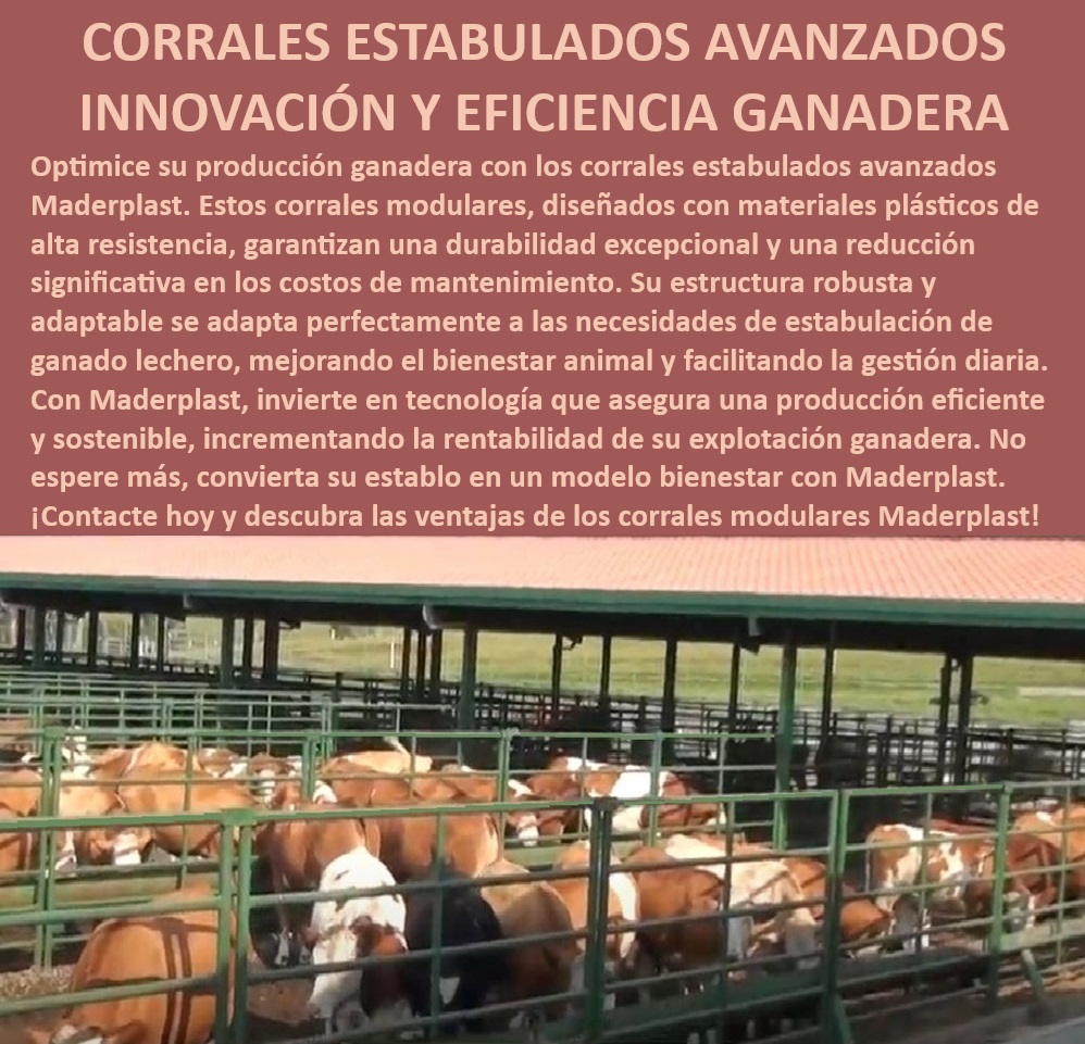 Corrales Estabulados Establos bovinos Diseño Corrales confinados Maderplast Diseño de corrales confinados con tecnología avanzada, - Estabulación avanzada para optimización ganadera, - Establos bovinos con gestión de bienestar animal, - Diseño de corrales estabulados adaptables, - Corrales de alta resistencia y bajo mantenimiento, - Estabulación eficiente con tecnología avanzada, - Establos tecnificados para ganado lechero eficiente, - Establos bovinos con estructura robusta y adaptable, - ¿Qué tipo de corrales ganaderos ofrecen mejor bienestar animal?, - Corrales modulares para producción ganadera rentable, - Corrales tecnificados para explotación ganadera rentable, - Tecnología ganadera modular y eficiente, - ¿Dónde encontrar corrales tecnificados para ganado lechero?, - ¿Cuál es el mejor diseño de corrales para vacas lecheras?, - ¿Cómo optimizar la producción ganadera con corrales estabulados?, - Corrales bioclimáticos para manejo de ganado, - Establos ganaderos con enfoque en bienestar animal, - Corrales ganaderos para maximizar producción, - Corrales de confinamiento avanzado para ganadería, - Establos tecnificados con ventilación y confort, - Corrales estabulados bioclimáticos de alta eficiencia, - Corrales estabulados avanzados para ganadería moderna, - Tecnología ganadera para estabulación avanzada, - Corrales ganaderos bioclimáticos y adaptables, - Corrales modulares Maderplast alta durabilidad, - Corrales sostenibles para ganado lechero Maderplast, - ¿Qué corrales bioclimáticos son más eficientes para ganadería?, - Corrales estabulados para producción lechera, - Tecnología ganadera sostenible y eficiente, - Diseño de corrales para vacas lecheras Maderplast 0 Tecnología ganadera Establos tecnificados Diseño de corrales para vacas lecheras Corrales bioclimáticos Estabulación avanzada Establos Corral Corrales Estabulados Establos bovinos Diseño Corrales confinados Maderplast 0 Tecnología ganadera, , Establos tecnificados, , Diseño de corrales para vacas lecheras, , Corrales bioclimáticos, , Estabulación avanzada, , Establos Corral