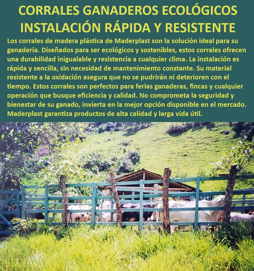 Corrales Fáciles De Instalar Corral Ecológico Corral Madera Plástica Maderplast Corrales de fácil instalación para ganado, - Corrales ganaderos con diseño ecológico, - Corrales ecológicos sin mantenimiento, - Corrales para ferias ganaderas duraderos, - ¿Cuál es el mejor corral ecológico para ganado?, - Corrales ganaderos que aseguran bienestar animal, - Corrales ganaderos para clima extremo, - ¿Qué corrales son más duraderos y fáciles de instalar?, - ¿Dónde comprar corrales de madera plástica para fincas?, - Corrales ganaderos que no se pudren, - ¿Qué ventajas tienen los corrales ganaderos ecológicos?, - Corrales ecológicos con instalación rápida, - Corrales plásticos para manejo de ganado, - Corrales de madera plástica para ganado, - Corrales resistentes a la intemperie, - Corrales ganaderos de larga vida útil, - Corrales ganaderos resistentes a la oxidación, - ¿Cómo elegir corrales ecológicos para ferias ganaderas?, - Corrales ganaderos fáciles de instalar, - Corrales para fincas ganaderas ecológicos, - Corrales plásticos resistentes a la corrosión, - Corrales de ganadería sostenibles, - Corrales ganaderos con alta durabilidad, - Corrales ganaderos sin mantenimiento constante, - Corrales ganaderos con alta resistencia, - Corrales de madera plástica para clima húmedo, - Corrales ganaderos sostenibles y ecológicos, - Corrales de madera plástica para granjas, - Corrales para ferias ganaderas fáciles de instalar, - Corrales ganaderos ecológicos duraderos 0 Corral para ferias ganaderas Corral ganadero de perfiles plásticos Corrales ecológicos y sostenibles Por qué elegir corrales plásticos para ganado Corrales Fáciles De Instalar Corral Ecológico Corral Madera Plástica Maderplast 0 Corral para ferias ganaderas , Corral ganadero de perfiles plásticos , Corrales ecológicos y sostenibles , Por qué elegir corrales plásticos para ganado