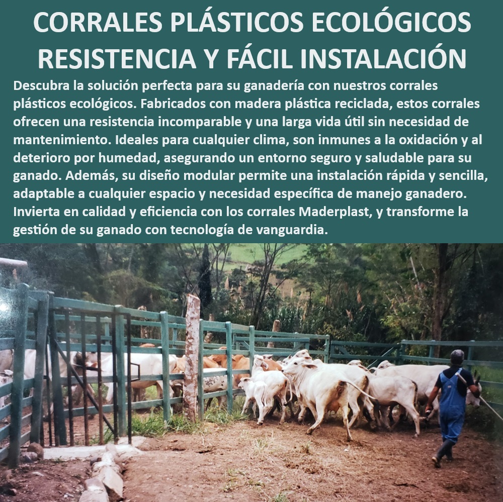 Corrales Fáciles De Instalar Corral Plástico Ecológico Corral Madera Plástica Maderplast Corrales seguros para bienestar animal, - Corrales ganaderos de madera plástica, - Corrales ganaderos con tecnología moderna, - ¿Cuáles son los beneficios de corrales ecológicos para ganado?, - Corrales reciclados de alta durabilidad, - Corrales seguros para manejo de ganado, - Corrales duraderos para climas extremos, - Corrales de fácil instalación ganadera, - Corrales ecológicos para ganadería eficiente, - Corrales modulares para ganadería, - Corrales inoxidables para ganado, - ¿Cómo instalar corrales modulares para ganadería rápidamente?, - ¿Cuáles son las ventajas de los corrales plásticos en la ganadería?, - Corrales plásticos sin oxidación, - Corrales ganaderos sin mantenimiento, - Corrales ecológicos de alta calidad, - Corrales plásticos sin oxidación ni corrosión, - Corrales adaptables a terrenos diversos, - Corrales plásticos ecológicos Maderplast, - Corrales reciclados para ganadería, - ¿Qué corrales son ideales para climas extremos en ganadería?, - Corrales resistentes para todo clima, - Corrales resistentes a la intemperie, - Corrales eficientes para ferias ganaderas, - ¿Qué corrales son más duraderos y de fácil instalación?, - Corrales anti humedad para ganado, - Corrales personalizados para ganado, - Corrales modulares para espacios ganaderos, - Corrales sostenibles para ganadería, - Corrales modulares de instalación rápida 0 Beneficios de los corrales inoxidables Corrales de madera plástica para ganadería Corrales personalizados para ferias ganaderas Corral pp Corrales Fáciles De Instalar Corral Plástico Ecológico Corral Madera Plástica Maderplast 0 Beneficios de los corrales inoxidables , Corrales de madera plástica para ganadería , Corrales personalizados para ferias ganaderas , Corral pp