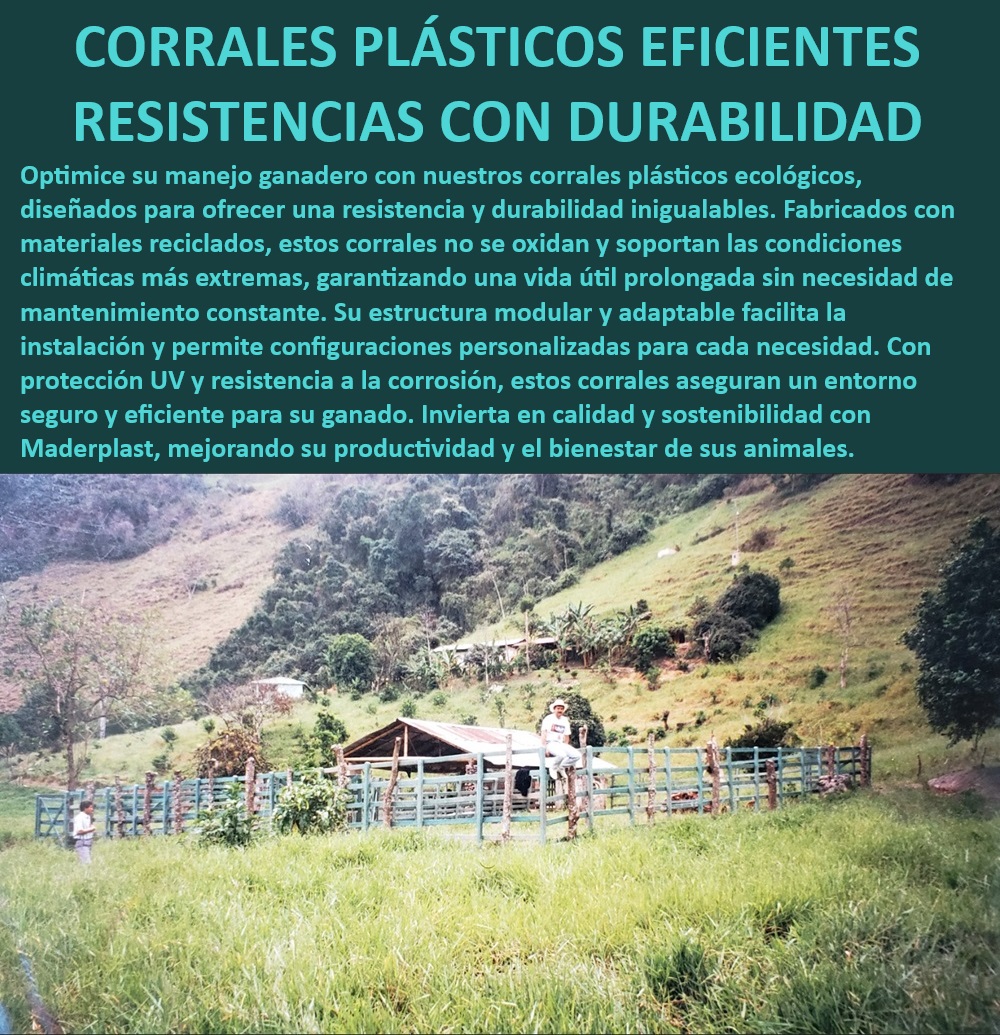 Corrales Fáciles De Instalar Corral Plástico Ecológico Corral Madera Plástica Maderplast Corral de madera plástica anticorrosión, - Corral modular con durabilidad extendida, - Corral plástico reciclado para ganado, - Corral adaptable para ganado ecológico, - Corral reciclado con alta resistencia climática, - ¿Dónde encontrar corrales ganaderos modulares sostenibles?, - Corral eficiente para manejo ganadero, - Corral ganadero sin mantenimiento constante, - ¿Cuál es el mejor corral ganadero con protección UV?, - Corral ganadero ecológico de larga duración, - Corral plástico con resistencia a la corrosión, - ¿Qué corral ganadero es fácil de instalar y adaptable?, - Corral seguro con protección UV integrada, - Corral sostenible con protección climática, - Corral ganadero modular para terrenos difíciles, - ¿Qué corral es más resistente a la corrosión para ganado?, - Corral de bajo mantenimiento para ganado, - Corral ganadero sostenible y eficiente, - Corral sostenible con protección climática, - ¿Cuál es el corral ganadero más duradero y ecológico?, - Corral ganadero modular y ecológico, - Corral ganadero resistente a la intemperie, - Corral plástico anticorrosión con estructura adaptable, - Corral plástico ecológico con resistencia UV, - Corral para ganado con durabilidad prolongada, - Corral ganadero modular adaptable y seguro, - Corral ecológico modular con protección UV, - Corral ganadero adaptado a climas extremos, - Corral ganadero fácil de instalar y duradero, - Corral para manejo ganadero eficiente 0 Corral plástico anti corrosión Corral ganadero modular y adaptable Corral ganadero eficiente y seguro Corral ganadero con protección UV 0 Corrales Fáciles De Instalar Corral Plástico Ecológico Corral Madera Plástica Maderplast 0 Corral plástico anti corrosión , Corral ganadero modular y adaptable , Corral ganadero eficiente y seguro , Corral ganadero con protección UV 0