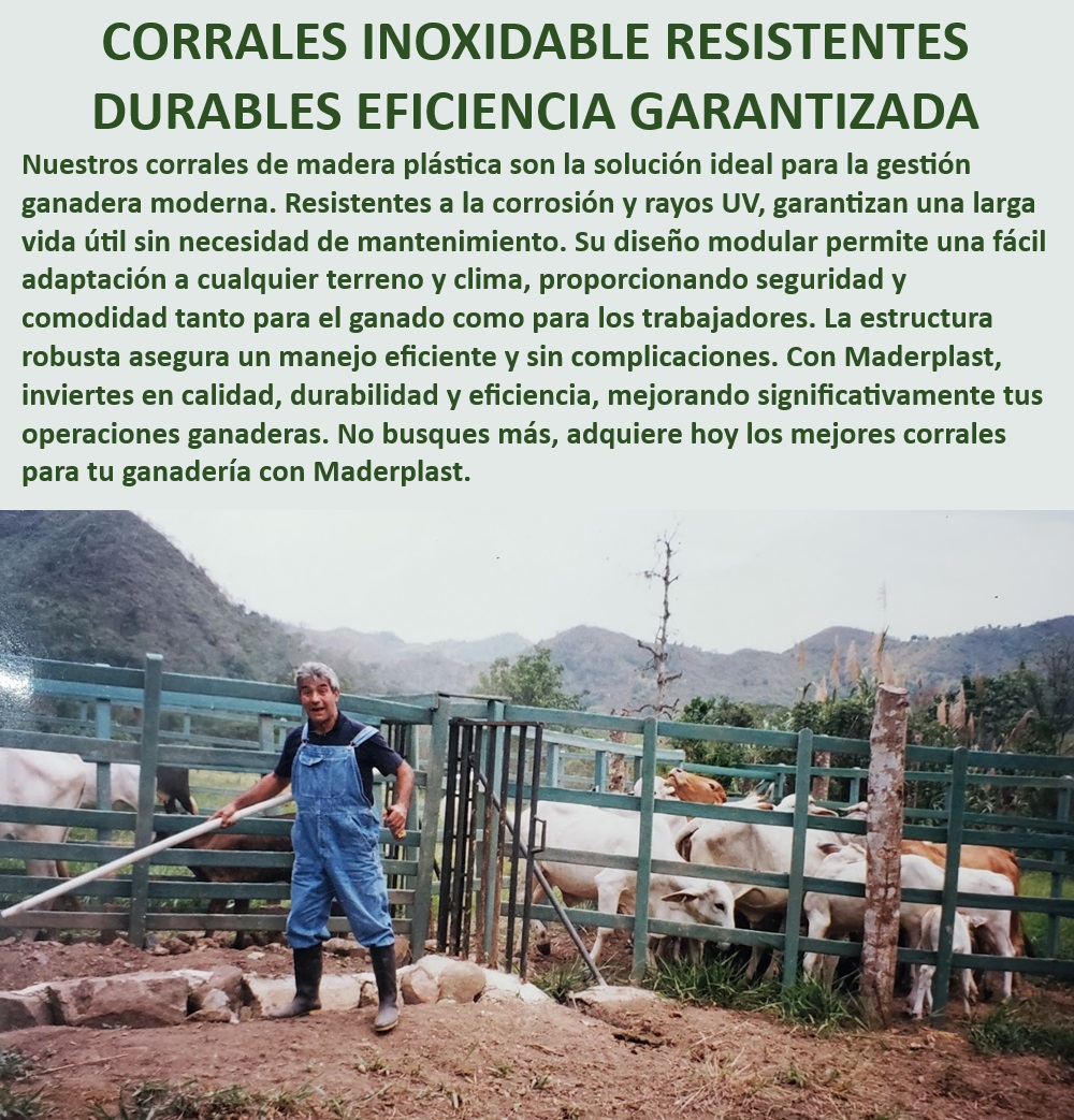 Corrales Fáciles De Instalar Corral Plástico Ecológico Corral Madera Plástica Maderplast Corrales para ganadería moderna y productiva, - Corral ganadero de alta durabilidad, - ¿Dónde comprar corrales ganaderos adaptables a climas extremos?, - Corrales para manejo seguro del ganado, - Corral ganadero con tecnología anticorrosión, - Corrales de madera plástica anticorrosión, - Corrales ganaderos con protección UV, - Corral de madera plástica resistente a UV, - Corrales ganaderos con estructura robusta, - Corral ganadero con protección climática, - ¿Cómo elegir un corral ganadero con protección UV?, - Corrales para ganado sin mantenimiento, - Corral ganadero resistente a la corrosión, - Corral modular adaptable a cualquier clima, - ¿Cuál es el mejor corral ganadero sin mantenimiento?, - ¿Qué corral ganadero es más duradero y eficiente?, - Corrales para ganadería moderna y sostenible, - Corral ganadero con estructura reforzada, - Corral ganadero fácil de instalar y duradero, - Corrales ganaderos ecológicos y reciclables, - Corral ganadero inoxidable y resistente, - ¿Qué corral ganadero es más resistente a la corrosión?, - Corrales ganaderos con diseño modular, - Corral ecológico para manejo eficiente, - Corrales ganaderos eficientes y durables, - Corrales modulares para adaptabilidad máxima, - Corrales para ganado duraderos y seguros, - Corrales sin necesidad de mantenimiento, - Corral ganadero para manejo eficiente del rebaño, - Corral ganadero para climas extremos 0 Corrales sin mantenimiento necesario Corrales ganaderos con protección UV Corral adaptable a cualquier clima Corral ganadero reforzado Corrales Fáciles De Instalar Corral Plástico Ecológico Corral Madera Plástica Maderplast 0 Corrales sin mantenimiento necesario , Corrales ganaderos con protección UV , Corral adaptable a cualquier clima ,  , Corral ganadero reforzado