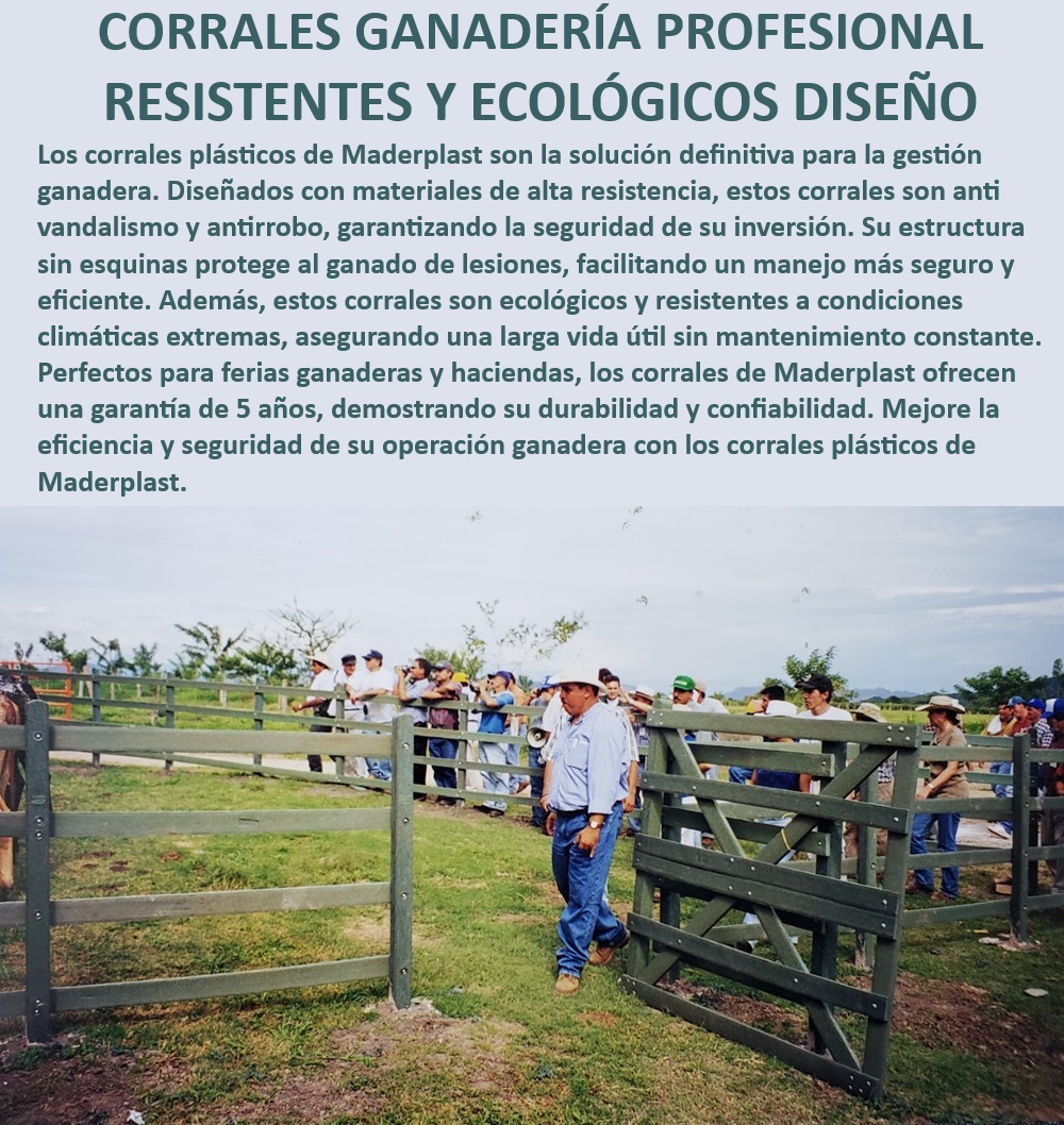 Corrales fáciles de instalar Corral plástico ecológico Maderplast Corrales anti vandalismo para ganado, - Corrales seguros para manejo ganadero, - Corral ganadero con tecnología avanzada, - Corrales ganaderos con alta seguridad, - Corral para manejo seguro del ganado, - ¿Qué corral ganadero tiene garantía de 5 años?, - Corrales seguros para ferias y haciendas, - Corrales ganaderos para climas extremos, - Corral ganadero con diseño ergonómico, - Corral de larga vida útil para ganado, - Corrales eficientes para gestión ganadera, - ¿Cuál es el corral ganadero más resistente para ferias?, - Corrales ganaderos sin esquinas peligrosas, - Corral ganadero anti vandalismo y antirrobo, - Corral con estructura resistente y duradera, - Corral de plástico reciclado para ganado, - Corral de madera plástica con garantía, - Corrales plásticos con alta durabilidad, - Corrales para ganado sin mantenimiento constante, - ¿Qué corral ganadero ofrece mayor durabilidad?, - Corral para ganado con protección antirrobo, - Corrales ganaderos resistentes y ecológicos, - Corrales que optimizan la operación ganadera, - ¿Dónde comprar corrales ganaderos antirrobo?, - Corrales con resistencia a climas adversos, - ¿Cómo instalar un corral ganadero ecológico?, - Corral ganadero de fácil instalación, - Corrales ecológicos con garantía de calidad, - Corral ganadero con diseño seguro y eficiente, - Corrales plásticos para ferias ganaderas 0 Corrales anti vandalismo y antirrobo Mejores corrales ferias ganaderas Corral con garantía de 5 años Corral para ferias ganaderas Corral de madera plástica PP Corrales fáciles de instalar Corral plástico ecológico Maderplast 0 Corrales anti vandalismo y antirrobo , Mejores corrales ferias ganaderas , Corral con garantía de 5 años , Corral para ferias ganaderas , Corral de madera plástica PP