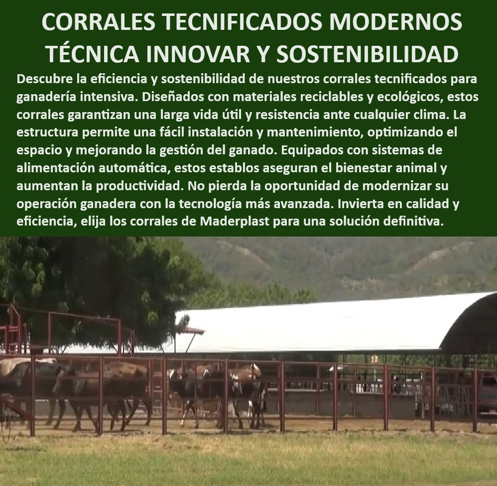 Corrales tecnificados estabulación Establos bovinos confinados Corrales Maderplast Establos modernos con sistemas automáticos, - Modernización ganadera con establos avanzados, - Corrales adaptables a cualquier clima, - Estructuras ganaderas reciclables y duraderas, - Durabilidad y resistencia en corrales de plástico, - Corrales tecnificados alta resistencia, - ¿Qué establos ofrecen tecnología avanzada para ganado?, - Corrales sostenibles para grandes fincas, - Eficiencia productiva en establos tecnificados, - ¿Cómo mejorar la productividad en fincas ganaderas?, - ¿Dónde comprar corrales ecológicos y duraderos?, - Corrales de larga vida útil para ganado, - Optimización del espacio en corrales ganaderos, - Corrales modulares con durabilidad extendida, - Instalación fácil de corrales tecnificados, - Corrales de baja huella ambiental ganadería, - Corrales modulares para clima extremo, - Tecnología avanzada en estabulación bovina, - Establos con alimentación automática avanzada, - Manejo eficiente en ganadería intensiva, - ¿Cuáles son los mejores corrales tecnificados para ganadería intensiva?, - Corrales de bajo mantenimiento para fincas, - Gestión ganadera eficiente con tecnología, - Sostenibilidad en corrales para estabulación, - Corrales optimizados para ganadería intensiva, - Innovación en manejo ganadero moderno, - ¿Qué tipo de corral es más resistente para climas extremos?, - Inversión inteligente en corrales ganaderos, - Resistencia climática en corrales ecológicos, - Sistemas automatizados en corrales modernos 0 DISEÑO CORRALES Construcción sustentable de corrales para ganadería intensiva Establos con sistemas de alimentación automática y durabilidad 00 Corrales tecnificados estabulación Establos bovinos confinados Corrales Maderplast 0 DISEÑO CORRALES, , Construcción sustentable de corrales para ganadería intensiva, , Establos con sistemas de alimentación automática y durabilidad 00