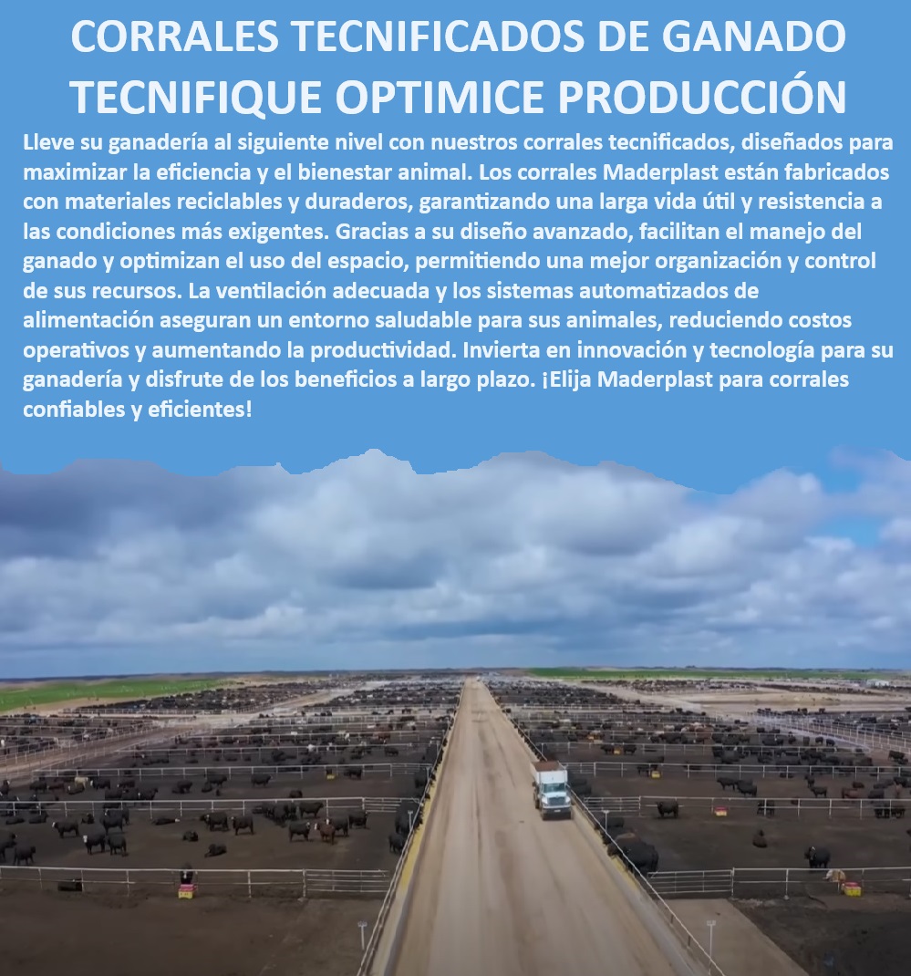 Corrales tecnificados estabulación Establos bovinos confinados Corrales Maderplast Corrales para ganado alta resistencia, - ¿Dónde encontrar corrales ganaderos que reduzcan costos operativos?, - Corrales ganaderos de bajo mantenimiento, - Establos bovinos con bajo coste operativo, - Diseño de corrales para bienestar animal, - Corrales tecnificados estabulación duraderos, - Corrales ganaderos con larga vida útil, - ¿Cuál es el mejor corral tecnificado para manejo de ganado?, - Establos resistentes a la intemperie, - Corrales para ganadería de precisión, - Corrales con optimización del espacio ganado, - Diseño de corrales para ganadería sostenible, - Corrales con materiales reciclables y duraderos, - Estructuras para estabulación eficiente, - Soluciones integrales para estabulación ganadera, - ¿Qué corrales ganaderos son recomendados para clima extremo?, - Establos ventilados para clima extremo, - Establos para alta productividad ganadera, - Innovación en diseño de corrales ganaderos, - Establos bovinos de alta durabilidad, - Sistemas de alimentación automatizada para ganado, - Corrales ganaderos con máxima ventilación, - ¿Cómo puedo mejorar la productividad de mi ganadería con corrales tecnificados?, - ¿Qué corral es más duradero para estabulación bovina?, - Instalación de corrales para ganadería tecnificada, - Corrales ecológicos para producción eficiente, - Corrales para manejo profesional de ganado, - Corrales que optimizan el manejo del ganado, - Tecnología avanzada en corrales para ganado, - Instalación llave en mano de establos ganaderos 0 DISEÑO CORRALES Establos de alto rendimiento Establos ventilados Diseño de corrales para optimizar el manejo del ganado bovino Establos RES Corrales tecnificados estabulación Establos bovinos confinados Corrales Maderplast 0 DISEÑO CORRALES, , Establos de alto rendimiento, , Establos ventilados, , Diseño de corrales para optimizar el manejo del ganado bovino, Establos RES