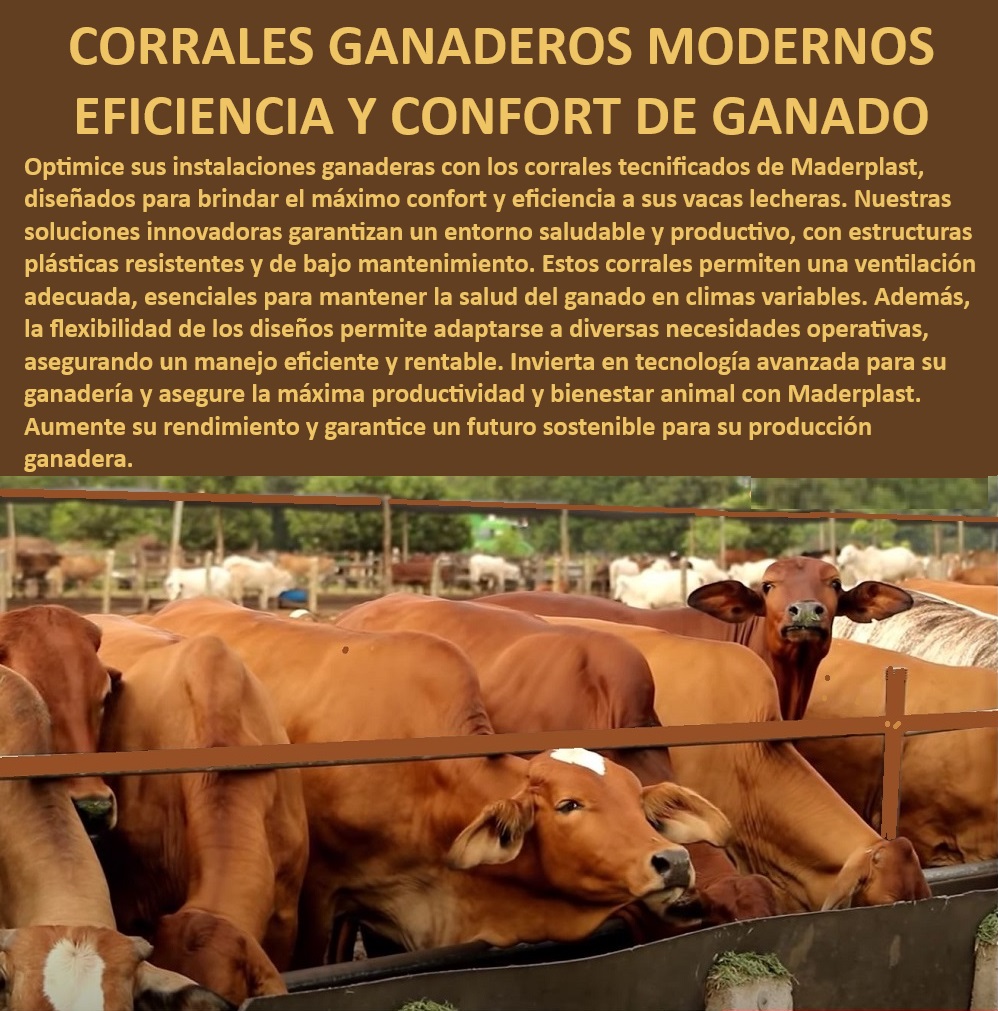 Corrales tecnificados estabulación Establos bovinos confinados Corrales Maderplast Manejo rentable en ganadería lechera intensiva, - Ganadería moderna con tecnología innovadora, - ¿Qué establos son más eficientes en climas variables?, - Corrales bioclimáticos para salud del ganado, - Instalaciones ganaderas con bajo mantenimiento, - Corrales adaptables a necesidades operativas, - ¿Cómo mejorar la eficiencia en establos ganaderos?, - ¿Cuál es el mejor corral para ganadería intensiva?, - Corrales sostenibles con alta durabilidad, - ¿Dónde comprar corrales sostenibles para ganadería?, - Optimización del espacio en establos ganaderos, - Corrales con ventilación adecuada para ganado, - Establos con diseño ergonómico para ganado, - ¿Qué corral ofrece mayor confort para vacas lecheras?, - Corrales con tecnología avanzada para ganadería, - Corrales modulares con estructura duradera, - Establos diseñados para maximizar rendimiento, - Sistemas automatizados para ganado intensivo, - Corrales para ganadería intensiva y sostenible, - Establos tecnificados con ventilación controlada, - Establos ganaderos con confort y productividad, - Corrales flexibles para clima variable, - Eficiencia productiva en corrales modernos, - Soluciones tecnológicas para ganadería sostenible, - Establos modernos para vacas lecheras, - Inversión inteligente en corrales de alta calidad, - Corrales resistentes para producción ganadera, - Corrales de alta eficiencia para vacas lecheras, - Manejo eficiente de ganado lechero intensivo, - Corrales ganaderos modernos eficientes 0 GANADERÍA INTENSIVA Corrales para vacas lecheras Establos modernos con ventilación adecuada para ganado Corrales flexibles Corrales bioclimas Corrales tecnificados estabulación Establos bovinos confinados Corrales Maderplast 0 GANADERÍA INTENSIVA, , Corrales para vacas lecheras, , Establos modernos con ventilación adecuada para ganado, Corrales flexibles, Corrales bioclimas