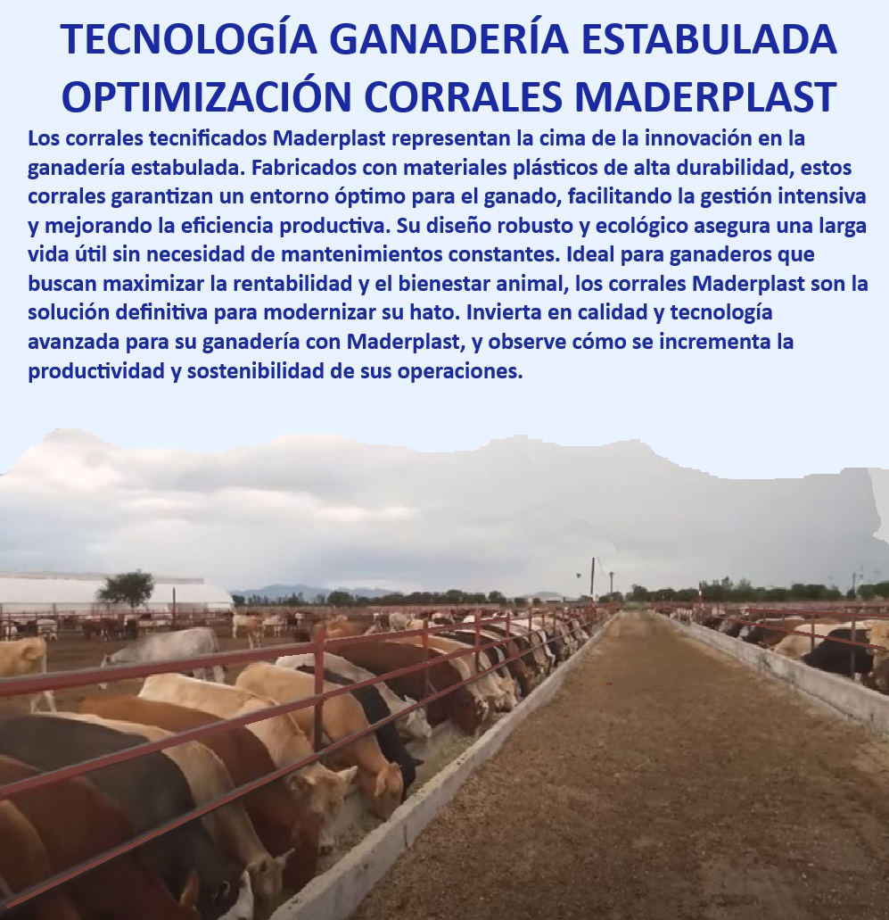 Corrales tecnificados estabulación Establos bovinos confinados Corrales Maderplast Establos bovinos con sistemas de ventilación avanzada, - Establos bovinos con alta durabilidad, - Optimización de corrales estabulados, - Corrales ganaderos con diseño sustentable, - Instalaciones ganaderas con tecnología avanzada, - Soluciones avanzadas para estabulación bovina, - Establos robustos con sistemas automáticos, - Diseños de corrales para estabulación tecnificada, - Innovación en corrales tecnificados, - Corrales reciclables y sustentables, - Establos eficientes para producción ganadera, - Diseño de corrales para manejo eficiente de ganado, - Corrales de alta resistencia y durabilidad, - Corrales robustos y duraderos para ganado, - Establos modulares con mínima manutención, - Corrales tecnificados para ganadería intensiva, - Infraestructura ganadera avanzada con Maderplast, - Corrales sostenibles para ganadería moderna, - ¿Qué corrales son más eficientes para maximizar la producción?, - Corrales resistentes a la intemperie y uso intensivo, - Corrales modernos para maximizar la productividad, - Eficiencia ganadera con sistemas automáticos, - Ganadería tecnificada con corrales sostenibles, - Tecnología avanzada en estabulación ganadera, - Establos ganaderos libres de mantenimiento, - ¿Qué establos son ideales para ganadería intensiva?, - ¿Qué corrales ofrecen mayor durabilidad para ganadería?, - Tecnología en manejo de ganado con estabulación, - ¿Cómo mejorar la eficiencia ganadera con tecnología avanzada?, - ¿Cuáles son los mejores corrales tecnificados para ganado? 0 MEJOR CORRAL Diseños de corrales establos Corrales de alta durabilidad para estabulación tecnificada Construcción sustentable de corrales 00 Corrales tecnificados estabulación Establos bovinos confinados Corrales Maderplast 0 MEJOR CORRAL, , Diseños de corrales establos, , Corrales de alta durabilidad para estabulación tecnificada, , Construcción sustentable de corrales 00