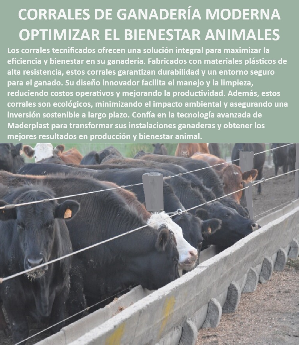 Corrales tecnificados estabulación Establos bovinos confinados Corrales Maderplast Establos ganaderos de última generación, - Corrales con enfoque en bienestar animal, - ¿Cuál es el mejor corral tecnificado para ganadería moderna?, - Tecnología avanzada en manejo de ganado, - Corrales sostenibles para ganadería responsable, - Corrales con diseño innovador y durabilidad, - Establos bovinos con alta durabilidad, - Corrales ganaderos con reducción de costos, - Corrales tecnificados para ganadería moderna, - ¿Qué tipo de establo es ideal para ganado lechero?, - Corrales resistentes para clima extremo, - Corrales ganaderos con sistemas automatizados, - Establos automatizados para ganado lechero, - Corrales ecológicos de bajo impacto ambiental, - ¿Cómo optimizar la producción ganadera con corrales automatizados?, - Soluciones integrales para ganadería tecnificada, - Corrales para cría de ganado eficiente, - Corrales ganaderos con mantenimiento mínimo, - ¿Cómo reducir costos operativos en la cría de ganado con corrales tecnificados?, - Diseño de corrales para alta productividad, - Corrales ganaderos con larga vida útil, - Soluciones en corrales para bienestar animal, - Establos para ganado lechero de alto rendimiento, - Materiales plásticos de alta resistencia para corrales, - Instalación de corrales llave en mano, - Establos modernos para maximizar producción, - ¿Qué beneficios ofrecen los corrales ecológicos para ganadería?, - Establos tecnificados para producción eficiente, - Corrales para maximizar bienestar animal, - Sistemas de estabulación para ganadería sostenible 0 MEJOR CORRAL Establos modernos Establos automatizados Establos resistentes Corrales para cría de ganado lechero con beneficios superiores Corrales tecnificados estabulación Establos bovinos confinados Corrales Maderplast 0 MEJOR CORRAL, , Establos modernos, , Establos automatizados, , Establos resistentes, , Corrales para cría de ganado lechero con beneficios superiores