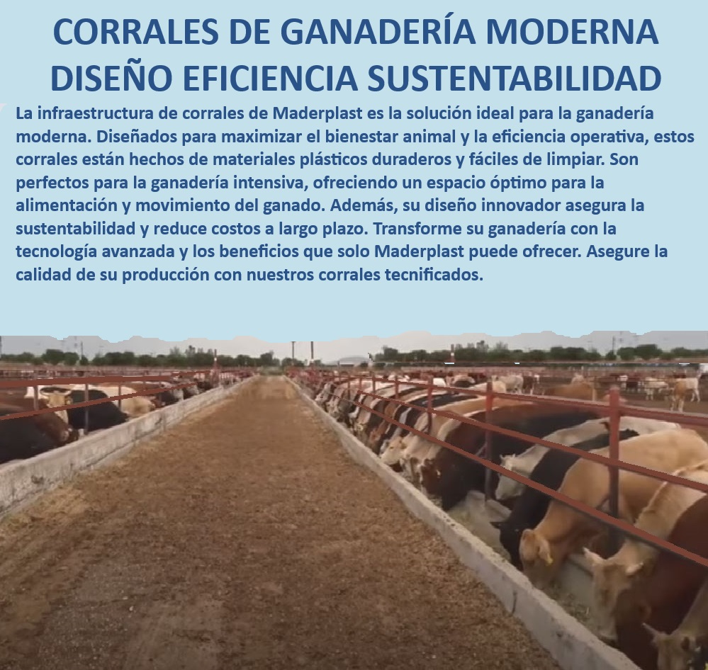 Corrales tecnificados estabulación Establos bovinos confinados Corrales Maderplast Establos sostenibles para reducción de costos, - Corrales plásticos que aseguran larga vida útil, - Soluciones sostenibles para ganadería, - Infraestructura ganadera de última tecnología, - Corrales plásticos que no se oxidan ni pudren, - Corrales de alta durabilidad para ganado, - Innovación en estabulación de bovinos, - Corrales modulares adaptables a cualquier clima, - ¿Dónde comprar establos duraderos y eficientes para bovinos?, - Infraestructura ganadera tecnificada, - Corrales para cría y engorde de ganado, - Corrales tecnificados para ganadería moderna, - Diseño eficiente de corrales ganaderos, - Establos duraderos con baja mantención, - ¿Cómo mejorar la producción ganadera con corrales tecnificados?, - ¿Qué tipo de corrales son mejores para ganado lechero?, - Optimización de corrales para ganadería intensiva, - Sistemas de estabulación para ganado lechero, - Corrales plásticos resistentes y duraderos, - Establos que maximizan el bienestar animal, - ¿Cuáles son los beneficios de usar corrales de plástico en la ganadería?, - Establos bovinos sostenibles y eficientes, - Establos que optimizan la alimentación del ganado, - Corrales modulares para ganadería avanzada, - Corrales fáciles de limpiar y mantener, - Establos para producción ganadera intensiva, - Tecnología avanzada en corrales ganaderos, - ¿Qué corrales garantizan sostenibilidad en la producción ganadera?, - Diseño de corrales para manejo intensivo, - Corrales que maximizan la productividad 0 MEJOR CORRAL Innovación en estabulación de ganado lechero y de engorde Corrales estabulados Corrales para cría de ganado lechero beneficio 0 Corrales tecnificados estabulación Establos bovinos confinados Corrales Maderplast 0 MEJOR CORRAL, , Innovación en estabulación de ganado lechero y de engorde, , Corrales estabulados, , Corrales para cría de ganado lechero beneficio 0