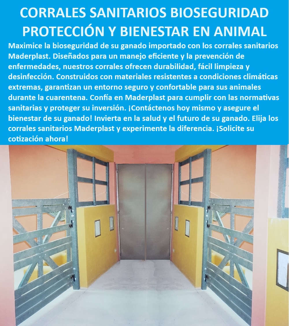 Diseño Corrales sanitarios para bovinos fácil limpieza corral cuarentena Maderplast Corrales sanitarios para manejo seguro del ganado, - Corrales sanitarios para instalaciones ganaderas, - ¿Qué corrales garantizan la bioseguridad del ganado?, - Corrales de ganado con desinfección efectiva, - Corrales sanitarios con materiales anticorrosivos, - Corrales sanitarios para bioseguridad ganadera, - Corrales sanitarios para protección animal, - Corrales sanitarios con fácil limpieza, - Corrales para cuarentena de ganado, - Corrales sanitarios resistentes climas extremos, - Corrales para ganado con alta bioseguridad, - Corrales sanitarios con alta resistencia, - Corrales duraderos para ganado en cuarentena, - Corrales sanitarios de larga vida útil, - Corrales sanitarios con normativas internacionales, - Corrales para ganado resistentes y duraderos, - Corrales sanitarios de alta eficiencia, - Corrales para manejo sanitario eficiente, - Corrales de ganado con resistencia climática, - Corrales de bioseguridad para ganado, - Corrales sanitarios para bienestar animal, - Corrales para ganado con fácil mantenimiento, - Corrales sanitarios con desinfección rápida, - ¿Cómo elegir corrales sanitarios resistentes a climas extremos?, - Corrales sanitarios con fácil instalación, - ¿Dónde comprar corrales sanitarios para cuarentena de bovinos?, - ¿Qué ventajas tienen los corrales sanitarios de Maderplast?, - ¿Cuáles son los mejores corrales sanitarios para ganado?, - Corrales sanitarios para ganado bovino, - Corrales sanitarios para plantas de sacrificio 0 corrales de ganado para climas extremos Corrales funcionales planta sacrificio Estructuras ganado larga vida útil Corrales duraderos Diseño Diseño Corrales sanitarios para bovinos fácil limpieza corral cuarentena Maderplast 0 corrales de ganado para climas extremos, , Corrales funcionales planta sacrificio, , Estructuras ganado larga vida útil, , Corrales duraderos Diseño