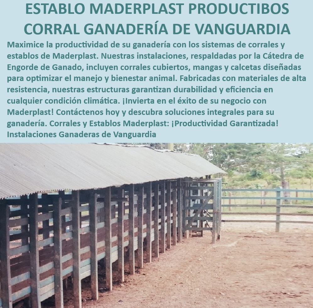 Diseño Ideal Corral Establo Corral Ovalado Redondo Sin Esquinas Maderplast Establos con ventilación adecuada para bienestar animal, - Corrales de manejo ganadero con tecnología avanzada, - Corrales cubiertos para optimizar producción ganadera, - Infraestructura ganadera con materiales reciclables, - Establos resistentes a condiciones climáticas, - Corrales para ganadería intensiva moderna, - Establos modulares adaptables a cualquier clima, - ¿Qué tipo de corral es ideal para engorde de ganado?, - Corrales diseñados para engorde eficiente de ganado, - Diseño de corrales ovalados sin esquinas, - Establo ganadero de vanguardia Maderplast, - Corrales cubiertos para manejo eficiente de ganado, - Sistemas de corrales sostenibles para ganadería moderna, - Establos para maximizar el bienestar animal, - Sistemas de establos con ventilación eficiente, - Establos de alta eficiencia para ganadería intensiva, - Corrales tecnificados para gestión eficiente del ganado, - Innovación en sistemas de establos para ganado, - Corrales modernos para engorde de ganado, - ¿Cuál es el mejor establo para ganadería intensiva?, - ¿Dónde comprar sistemas de establos sostenibles?, - Corrales para engorde de ganado con alta productividad, - Soluciones ganaderas de alta durabilidad Maderplast, - ¿Cómo mejorar la eficiencia en corrales ganaderos?, - Corrales y establos de última generación Maderplast, - Establos con sistemas de alimentación automatizada, - Soluciones integrales para estabulación ganadera, - ¿Qué instalaciones ganaderas ofrecen mayor durabilidad?, - Instalaciones ganaderas cubiertas de alta resistencia, - Establos ganaderos con estructuras robustas y duraderas 0 Sistemas de establos con ventilación eficiente Instalaciones ganaderas cubiertas de alta resistencia Corrales para engorde con sistemas alimentación 00 Diseño Ideal Corral Establo Corral Ovalado Redondo Sin Esquinas Maderplast 0 Sistemas de establos con ventilación eficiente , Instalaciones ganaderas cubiertas de alta resistencia , , Corrales para engorde con sistemas alimentación 00